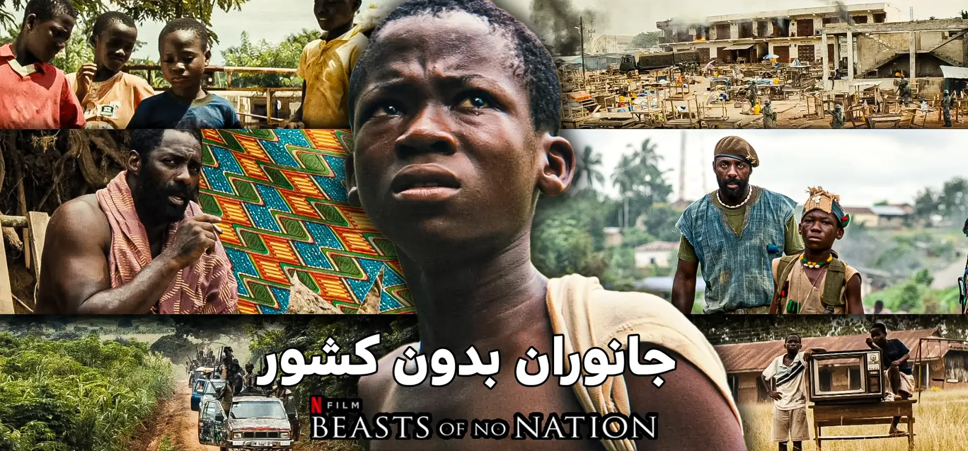 جانوران-بدون-کشور