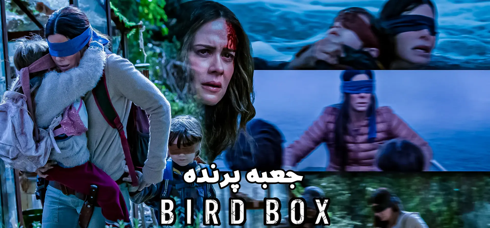 جعبه-پرنده