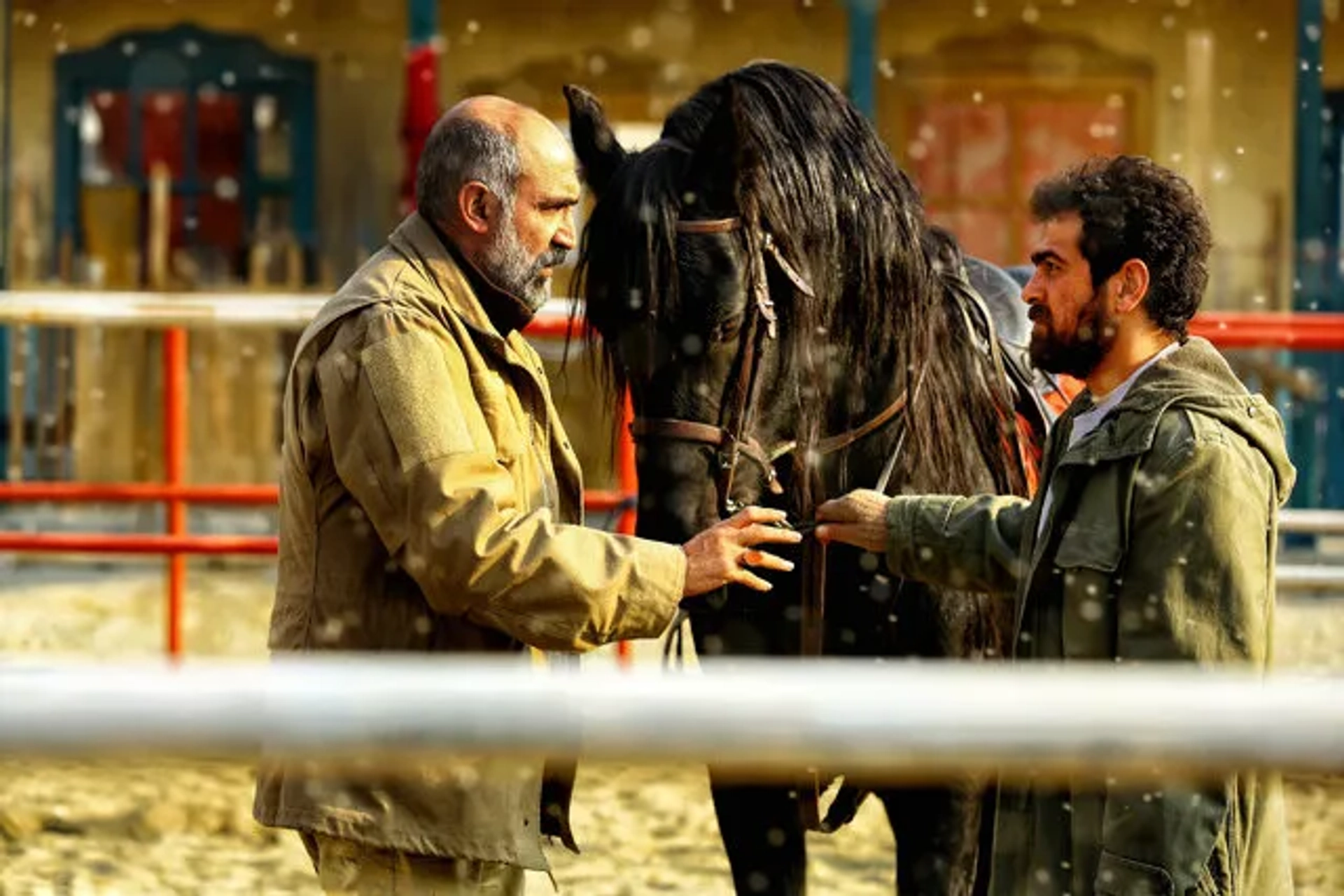 فیلم ناتور دشت (1403)