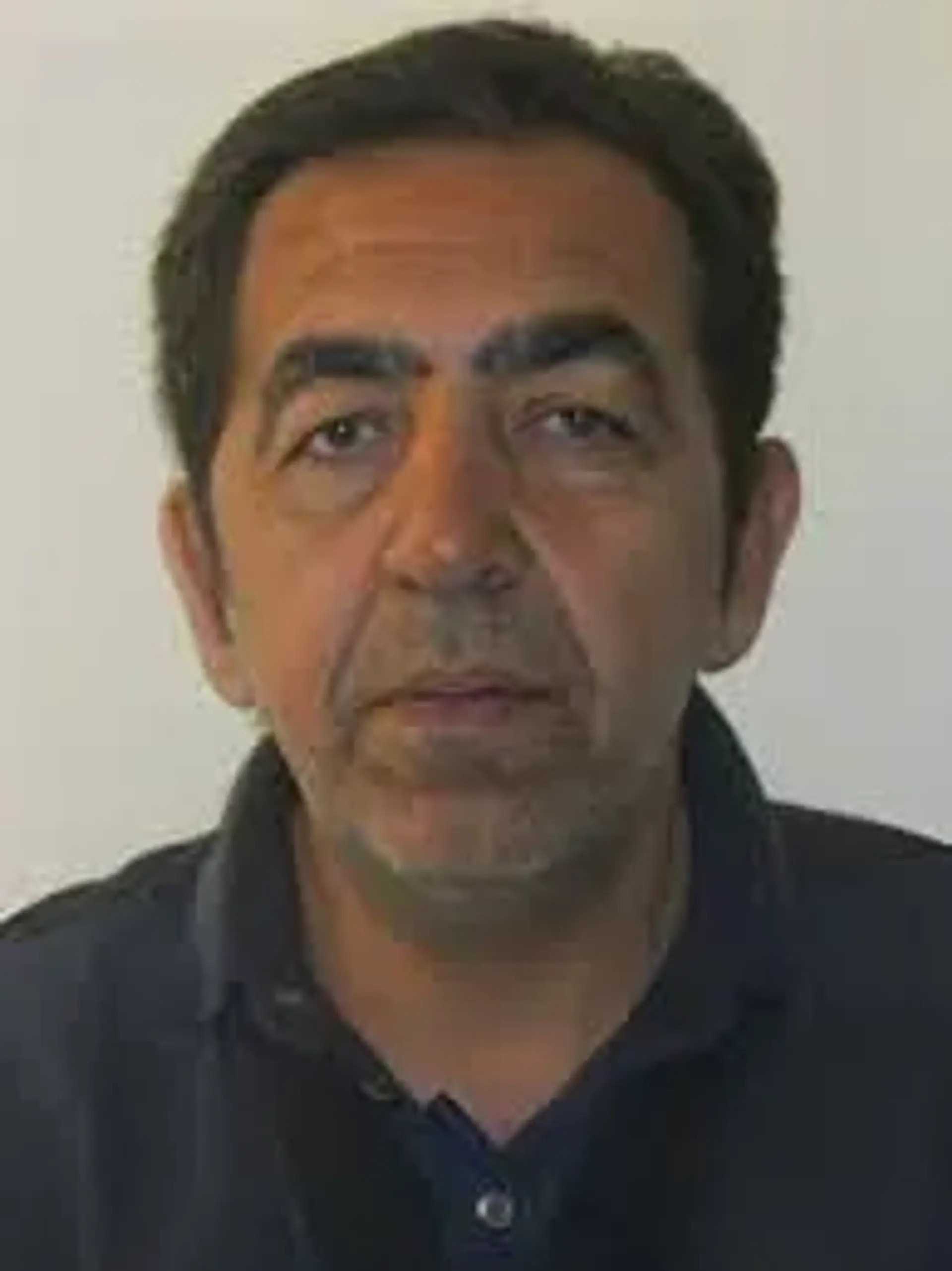 سید ابراهیم عمادی