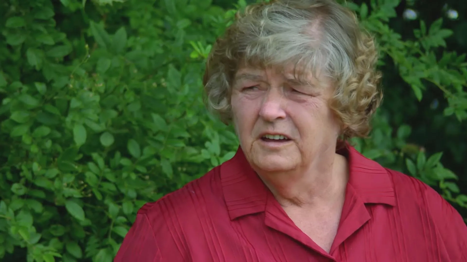 سریال دستگیری یک قاتل (To Catch a Killer 2014)