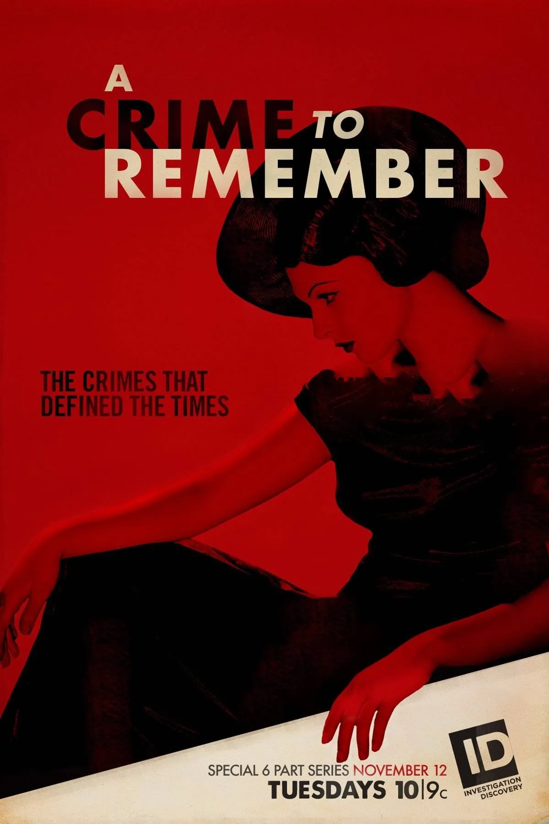 مستند جنایتی برای به خاطر سپردن (A Crime to Remember 2013)