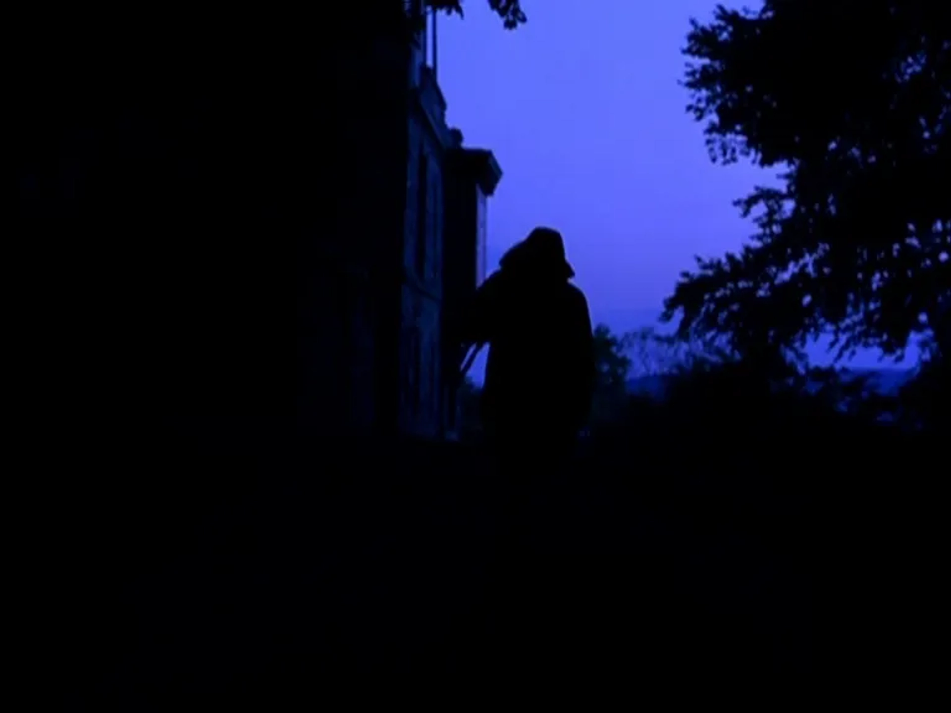 Last Days (2005)