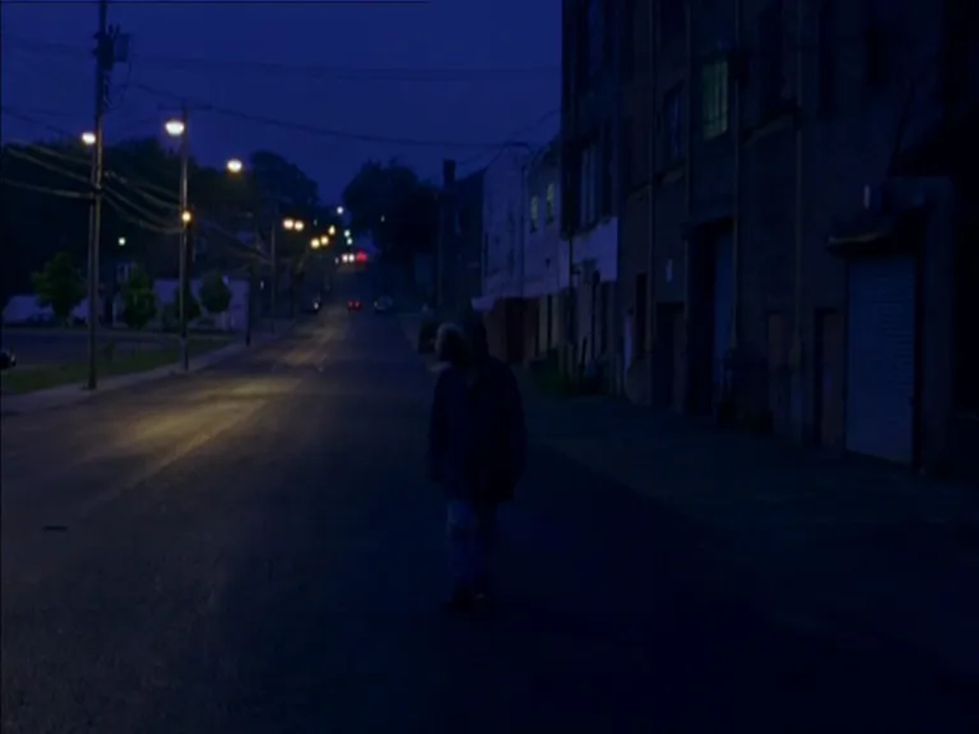 Last Days (2005)