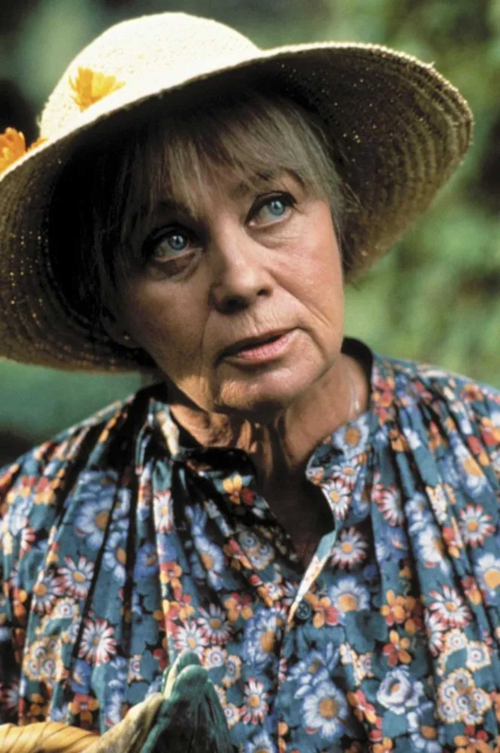 مای زترلینگ