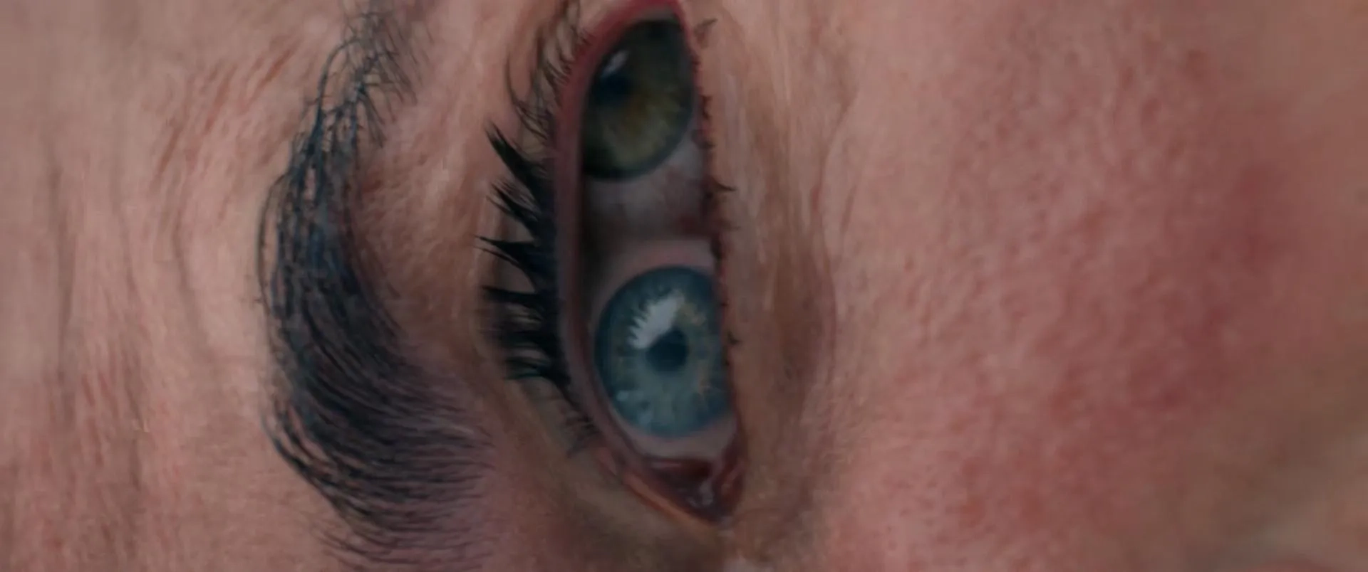The Substance (2024)