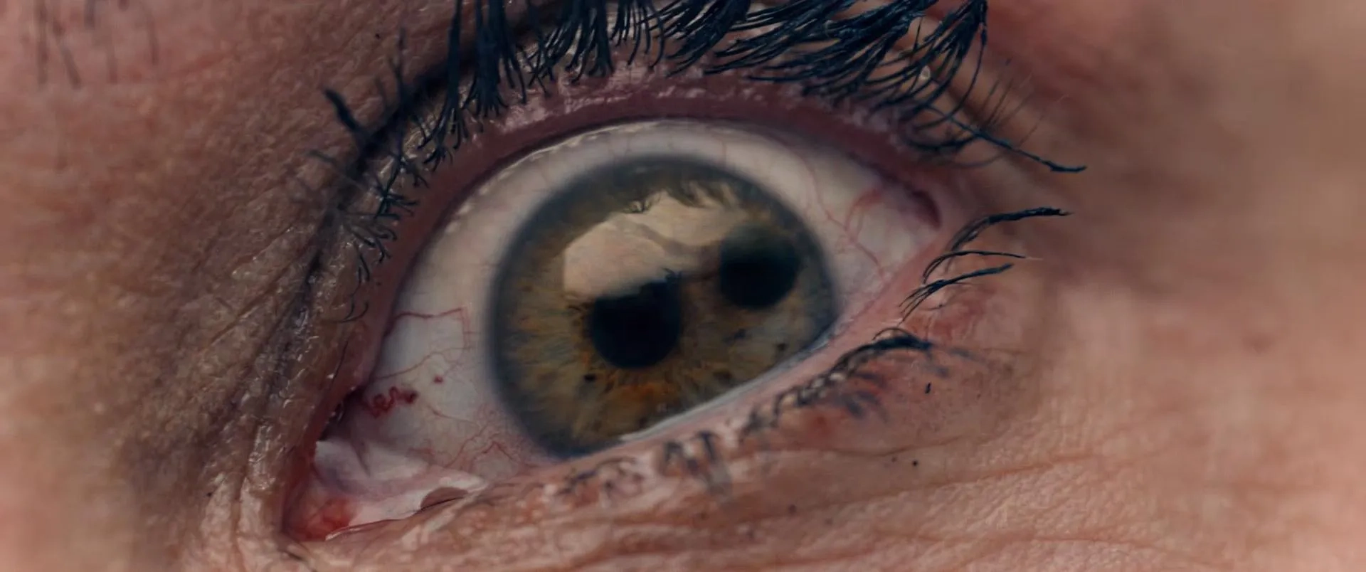 The Substance (2024)