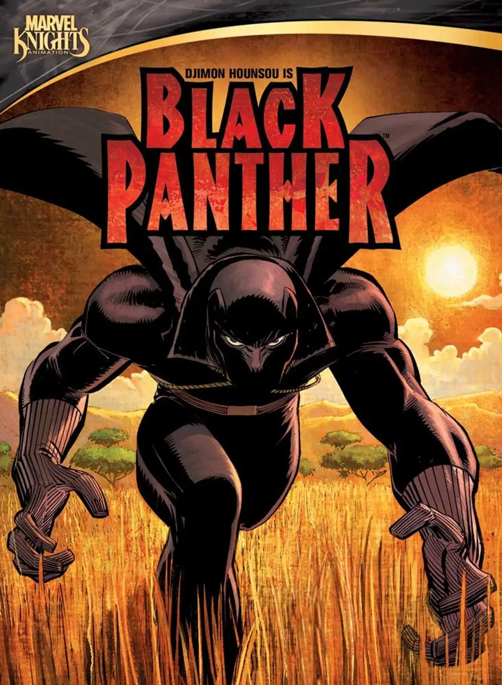 انیمیشن پلنگ سیاه (Black Panther 2010)