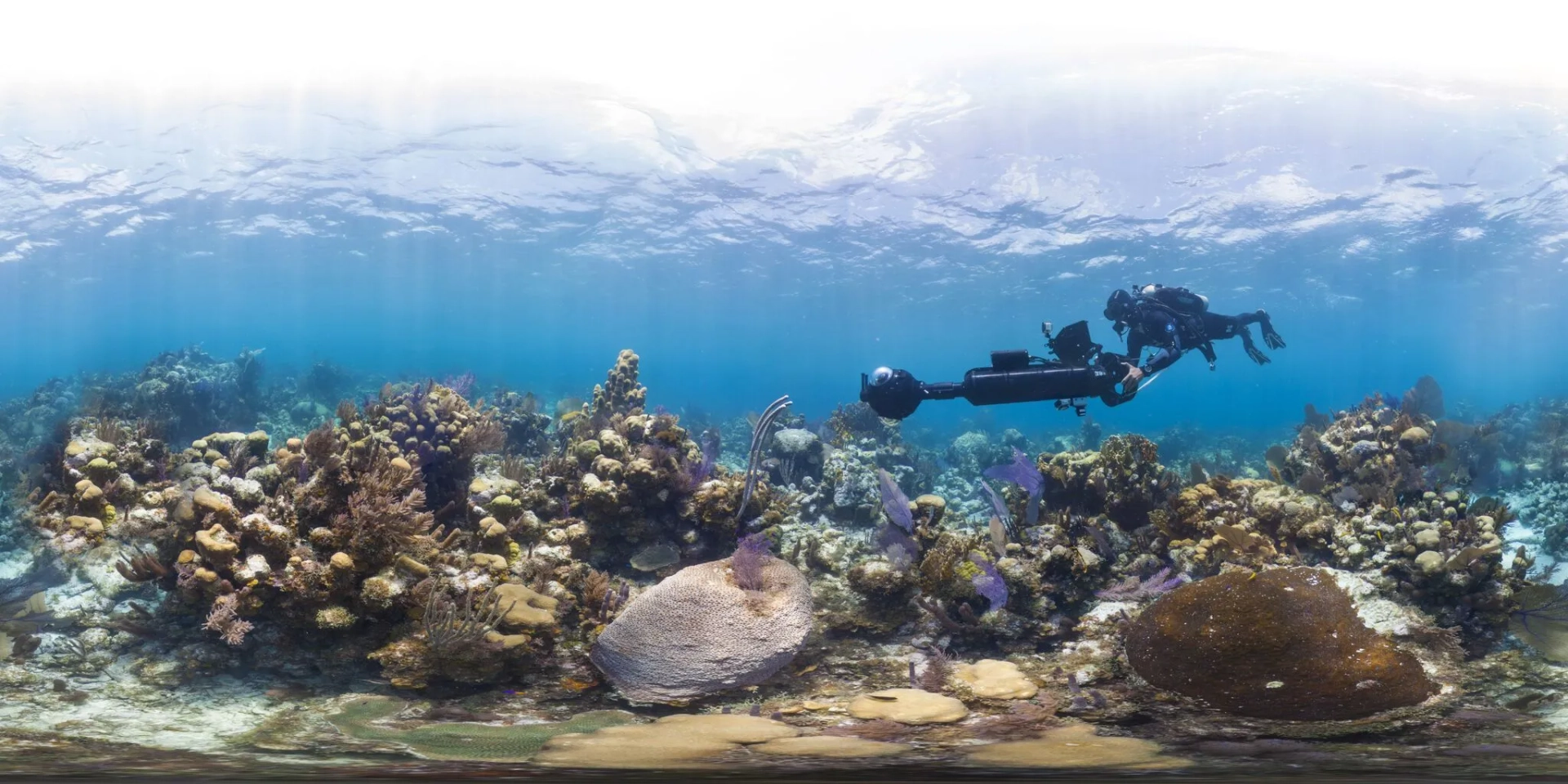 Chasing Coral (2017)