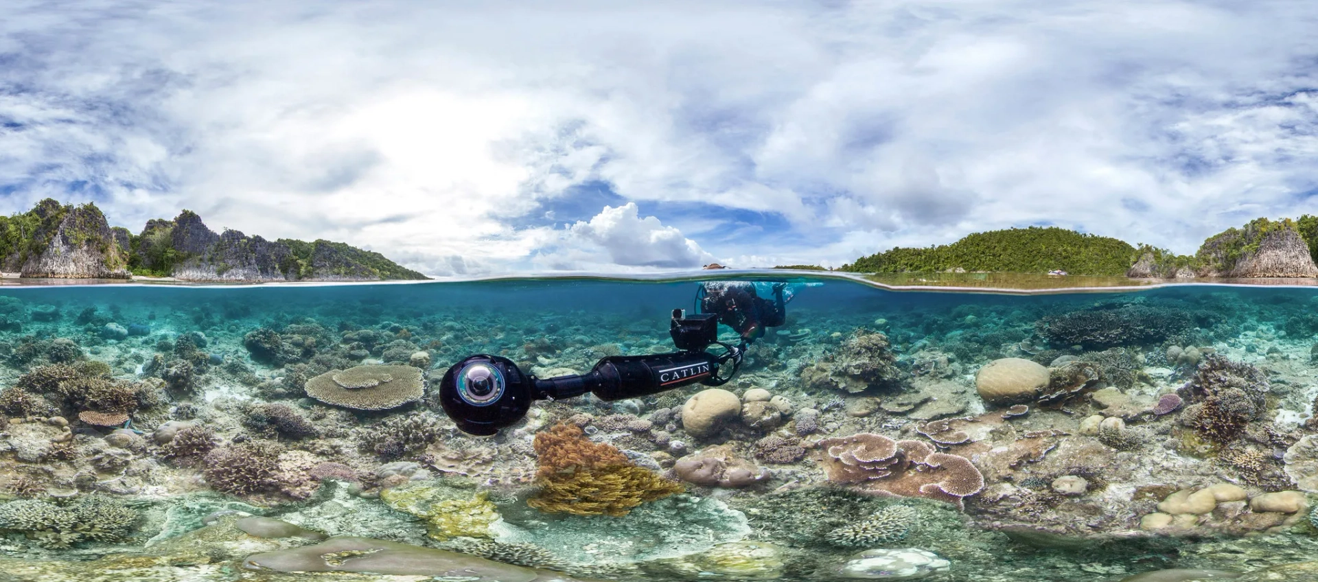 Chasing Coral (2017)