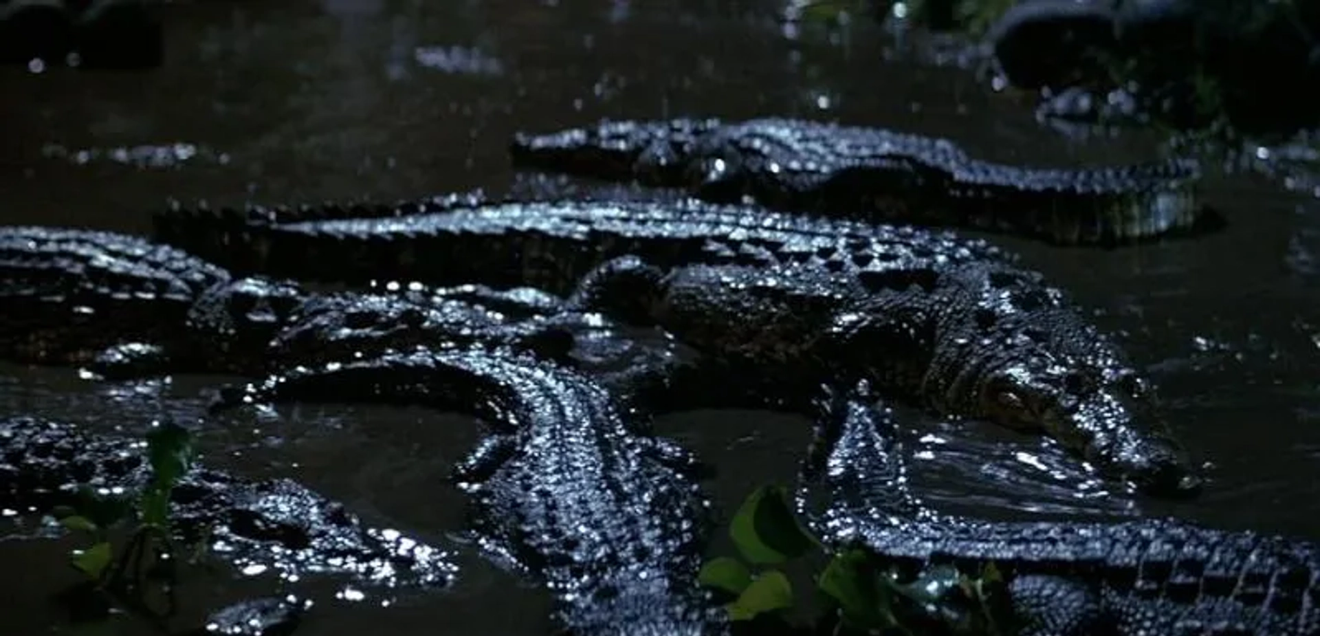 Romancing the Stone (1984)