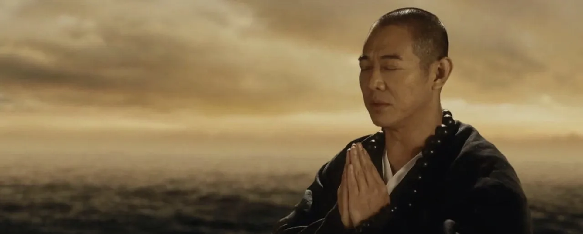The Sorcerer and the White Snake (2011)
