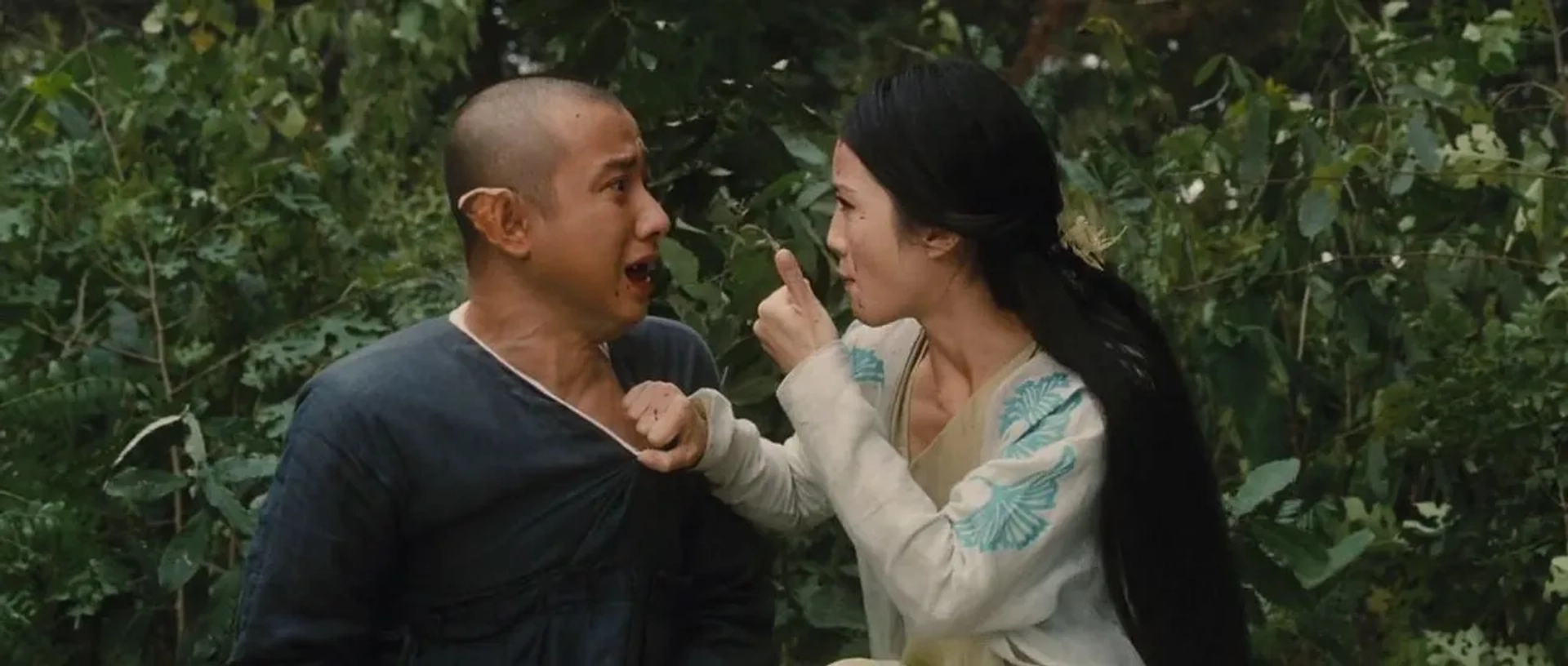 The Sorcerer and the White Snake (2011)