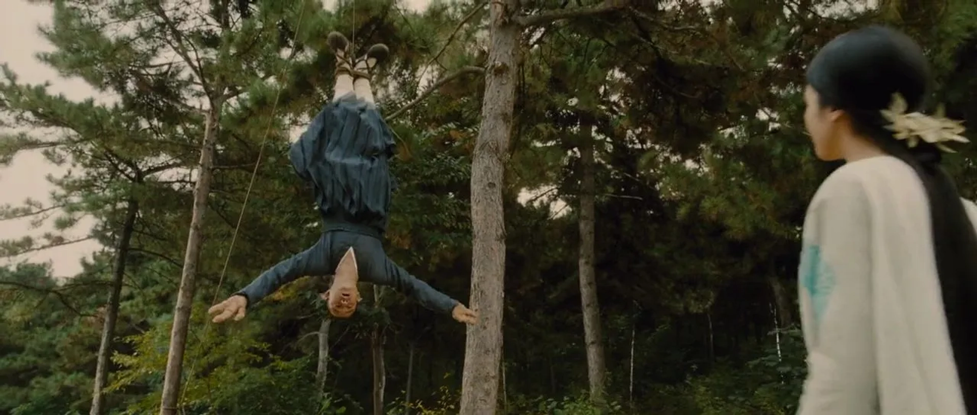 The Sorcerer and the White Snake (2011)