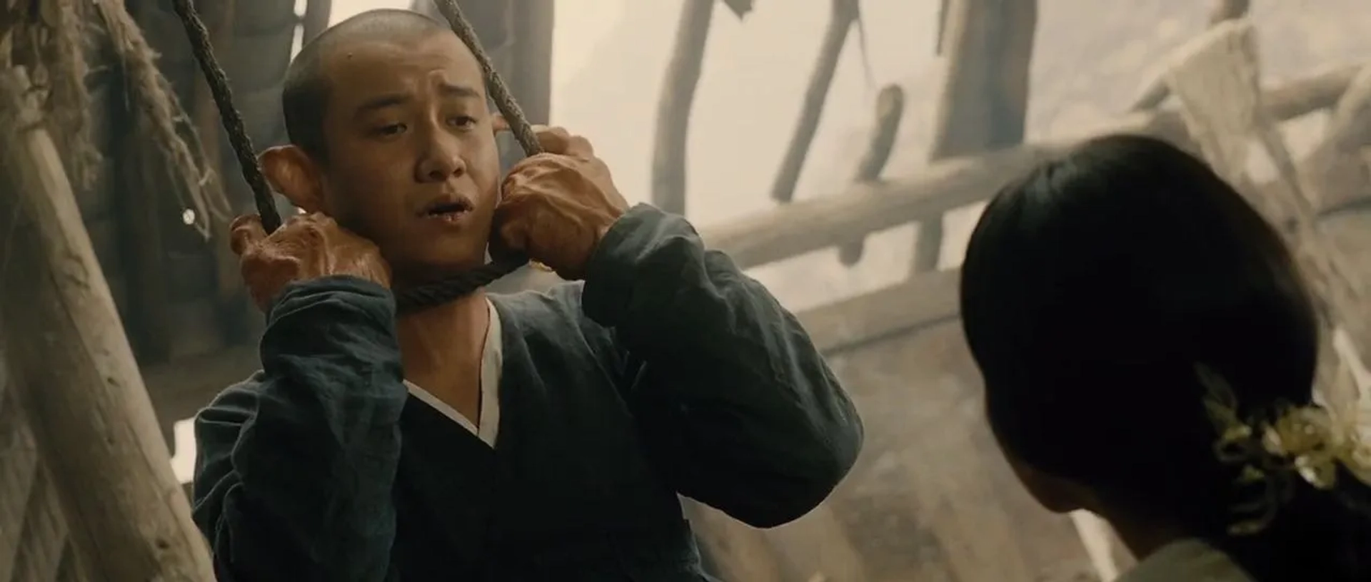 The Sorcerer and the White Snake (2011)