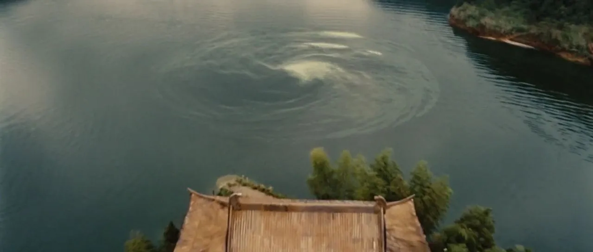 The Sorcerer and the White Snake (2011)