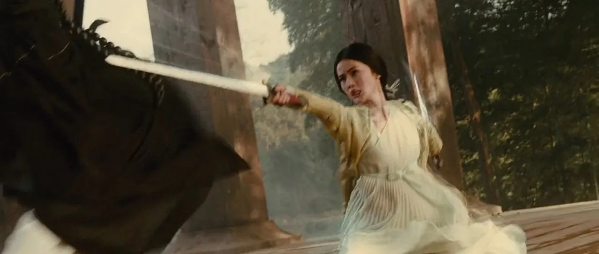 The Sorcerer and the White Snake (2011)