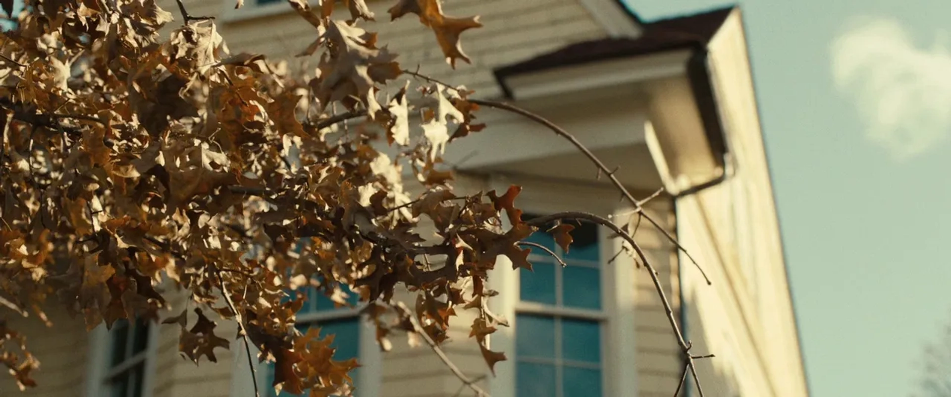 The Skeleton Twins (2014)