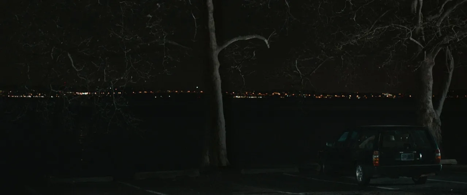 The Skeleton Twins (2014)