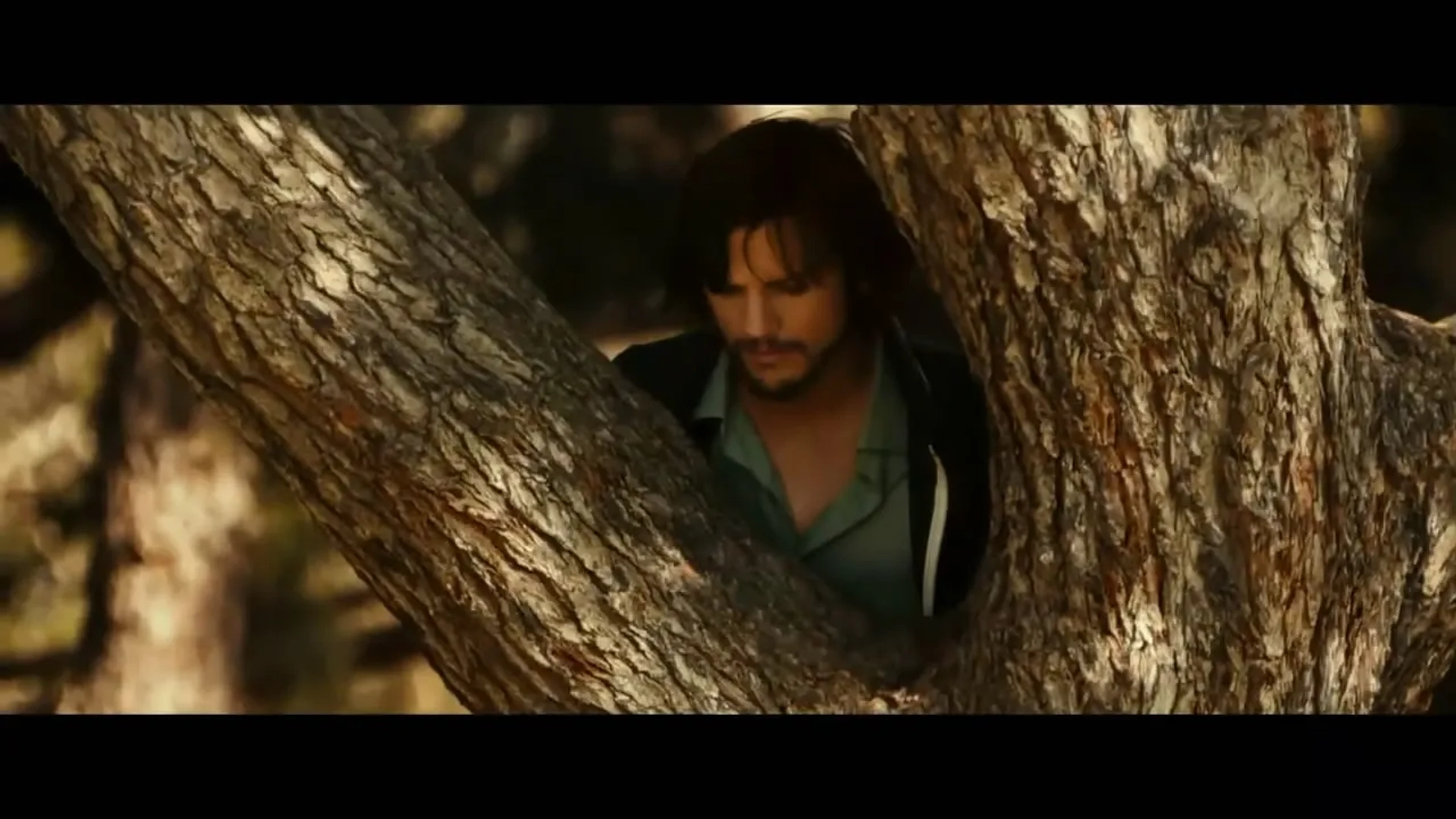 Jobs (2013)