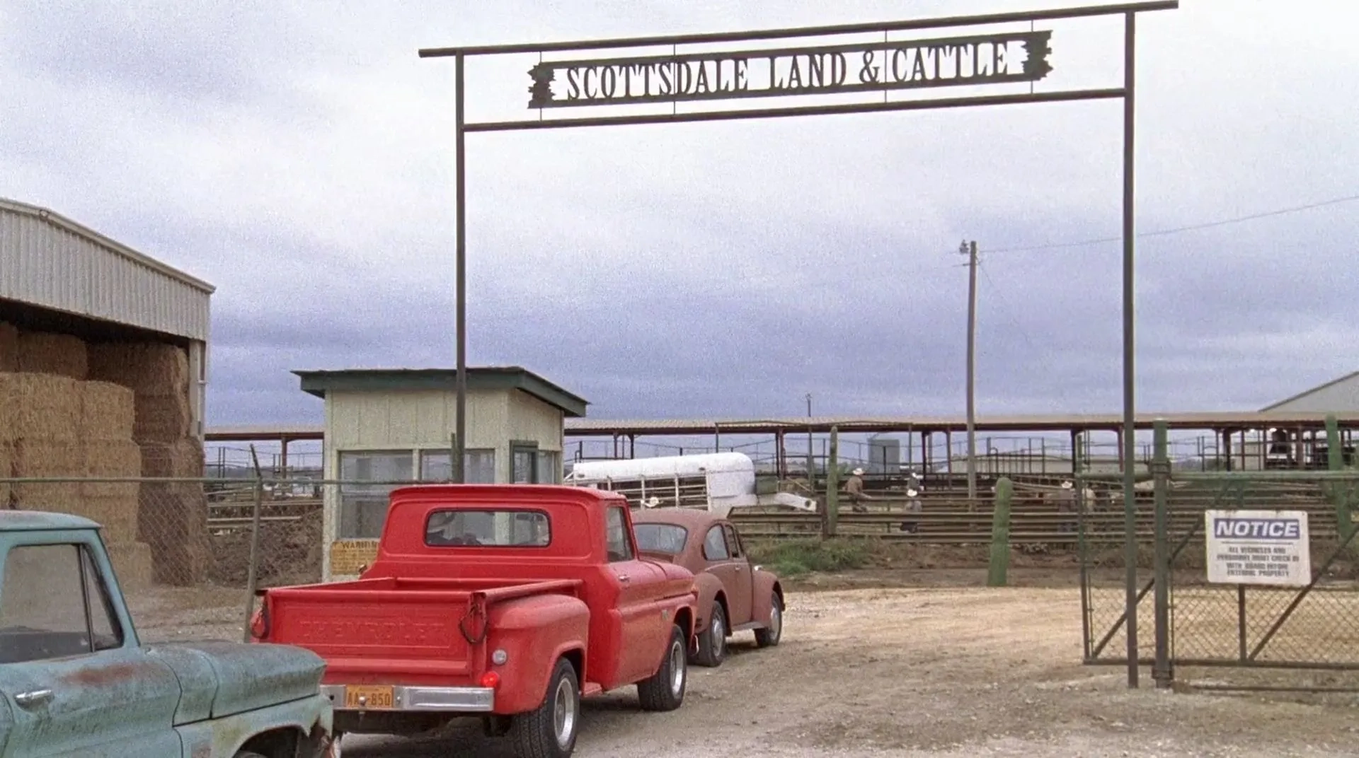 Temple Grandin (2010)