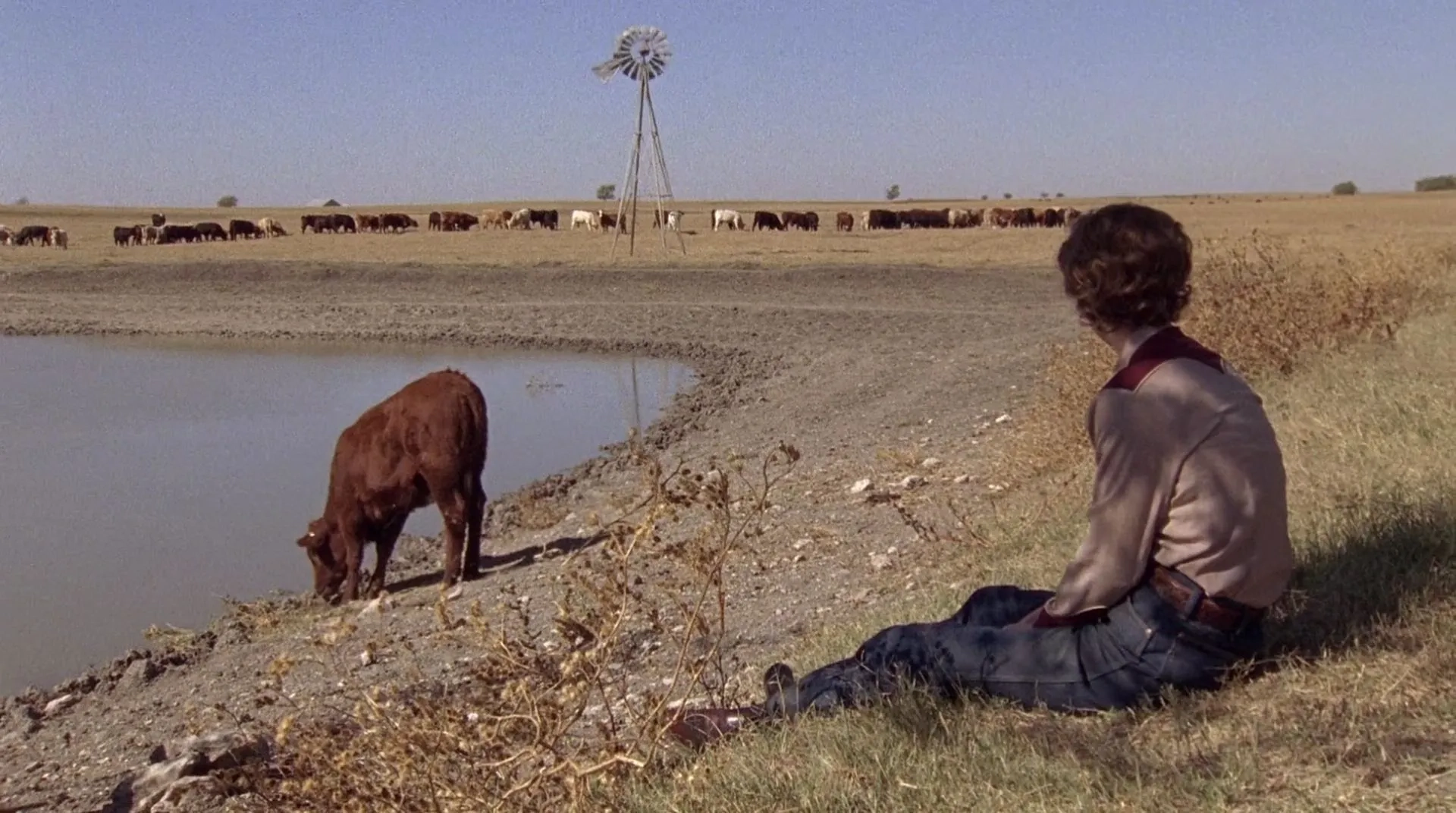 Claire Danes in Temple Grandin (2010)
