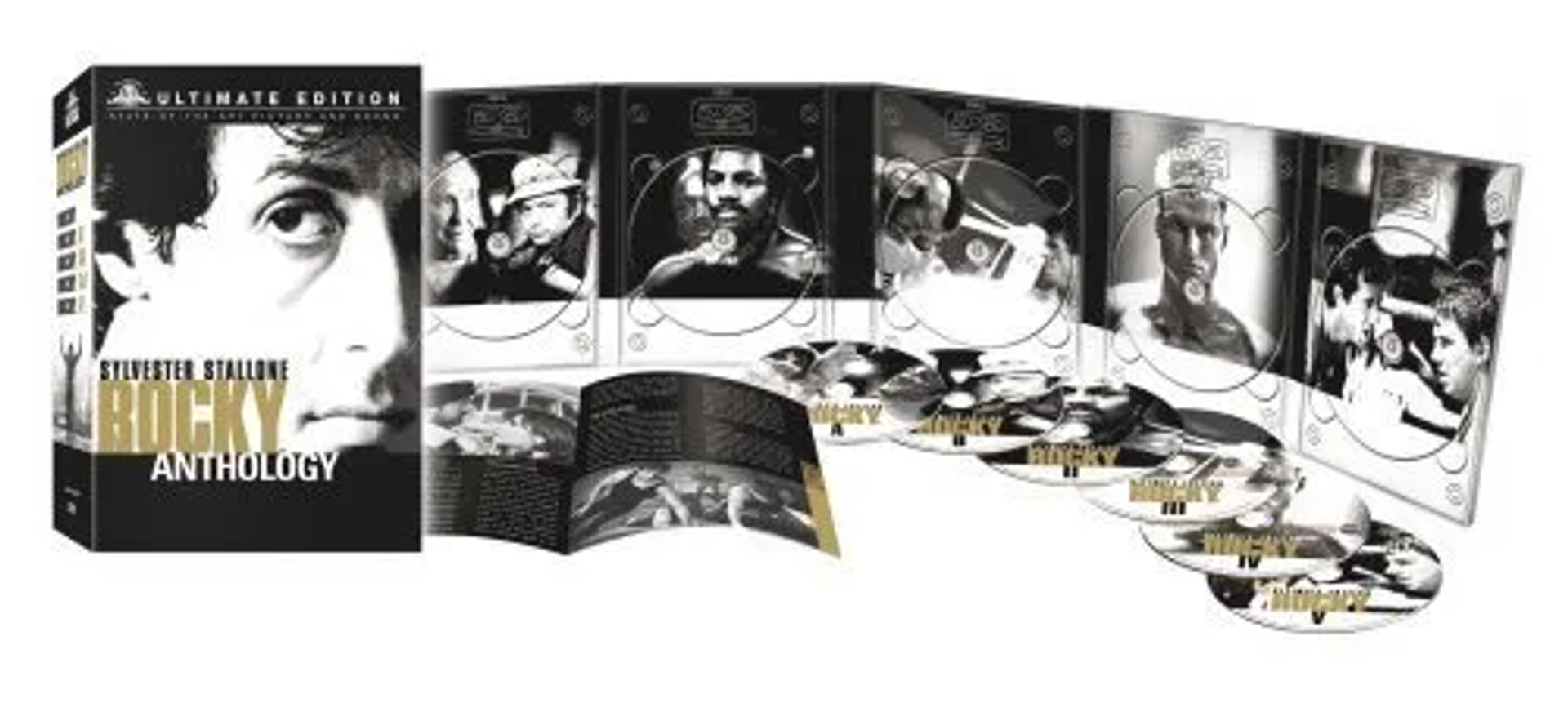 Sylvester Stallone in Rocky (1976)