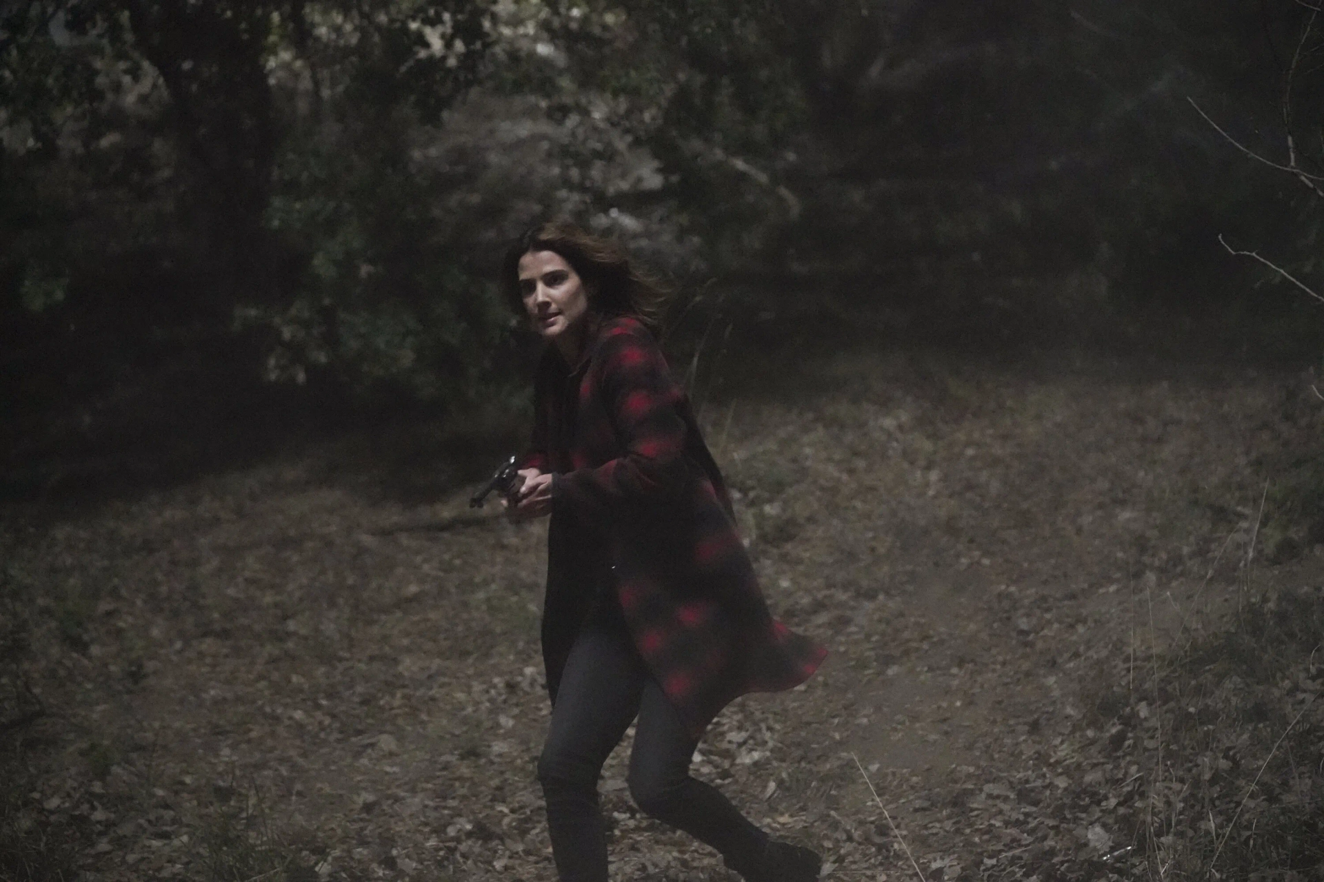 Cobie Smulders in Stumptown (2019)