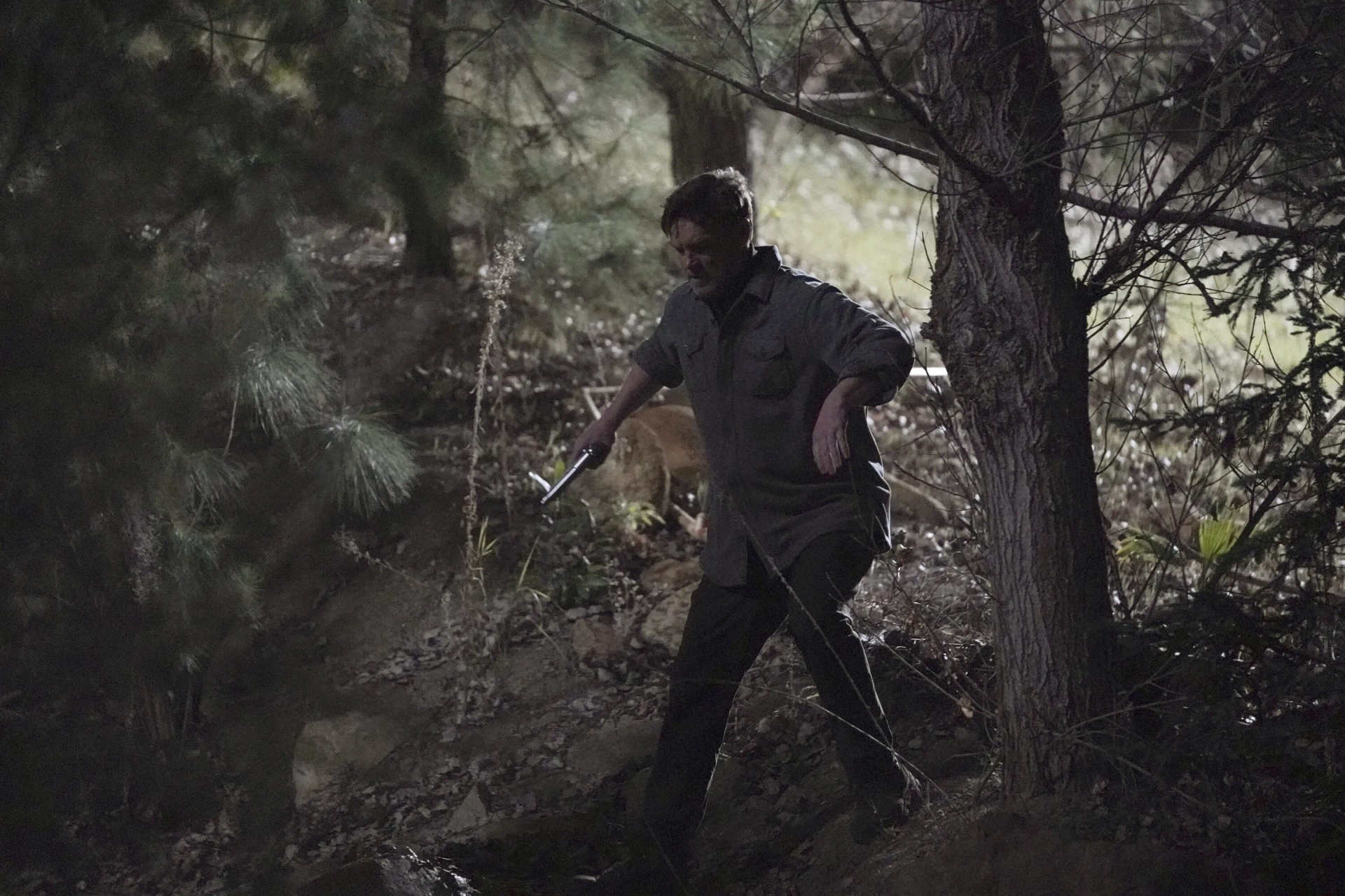 Brad Beyer in Stumptown (2019)
