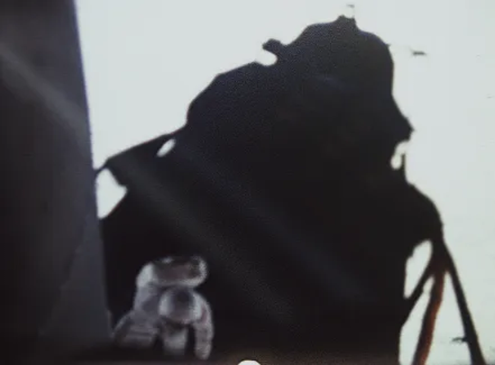 In the Shadow of the Moon (2007)