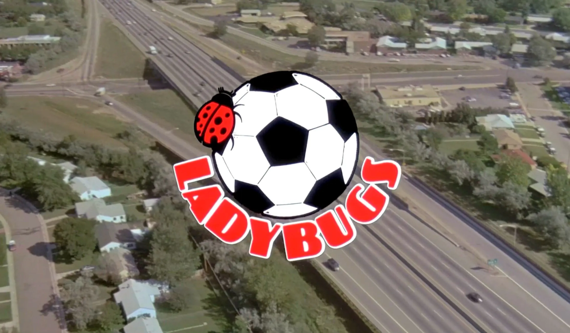 Ladybugs (1992)