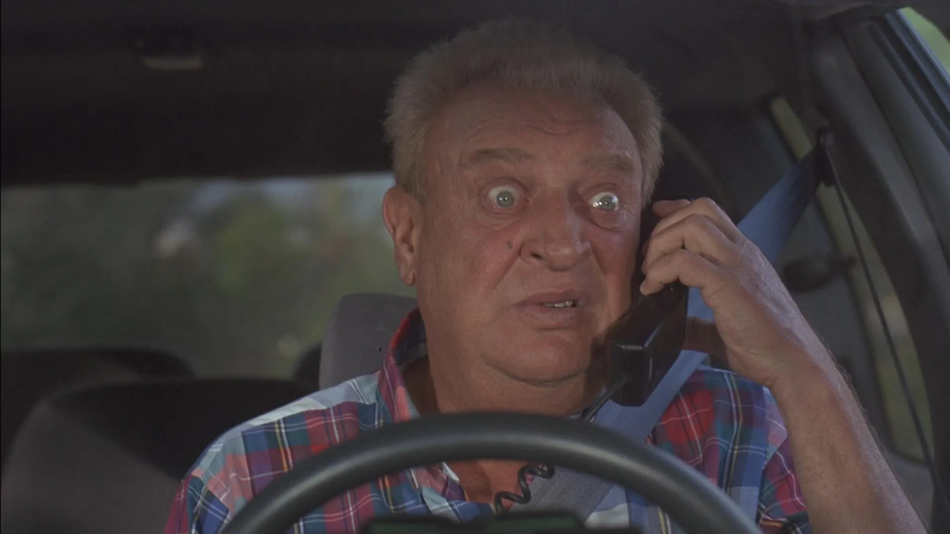 Ladybugs (1992)