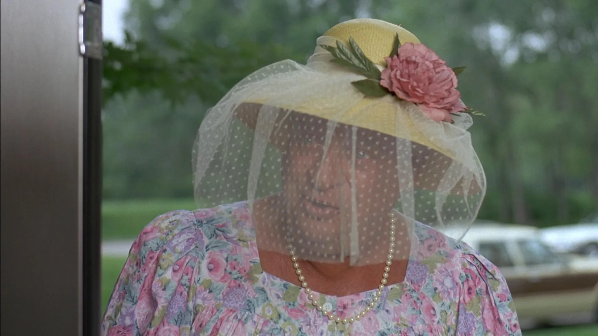 Ladybugs (1992)