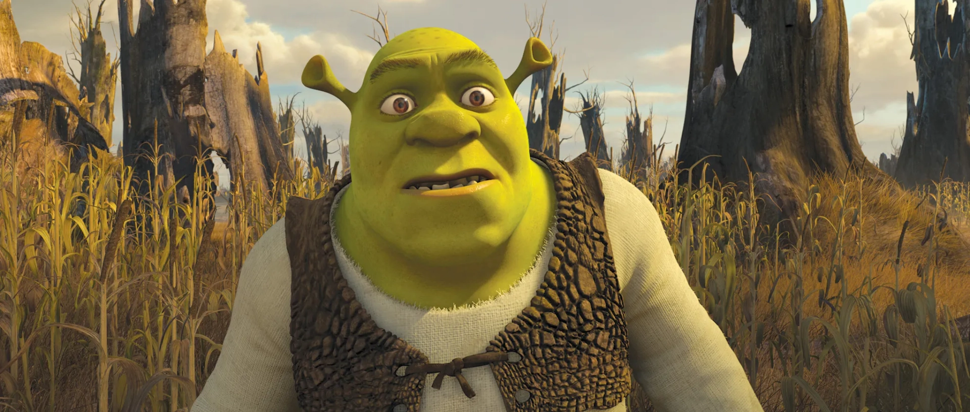 Mike Myers in Shrek Forever After (2010)