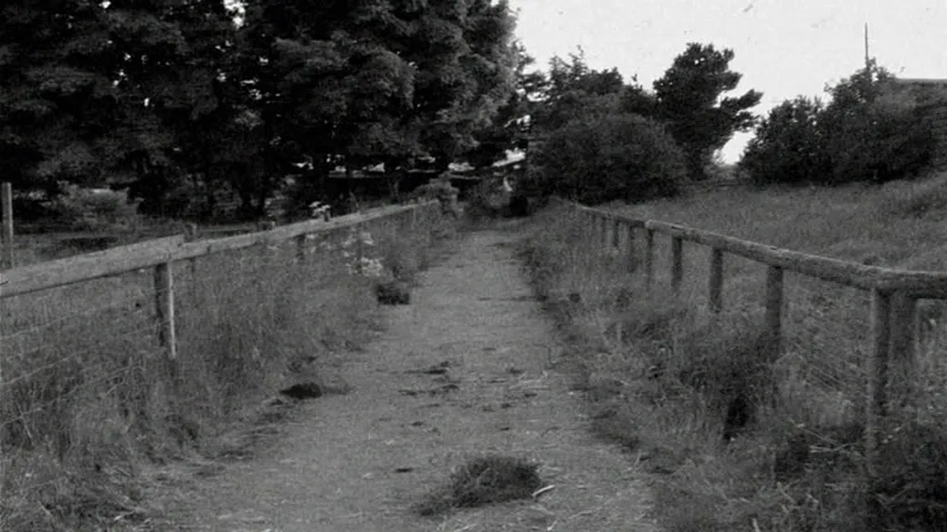 Dead Man's Shoes (2004)