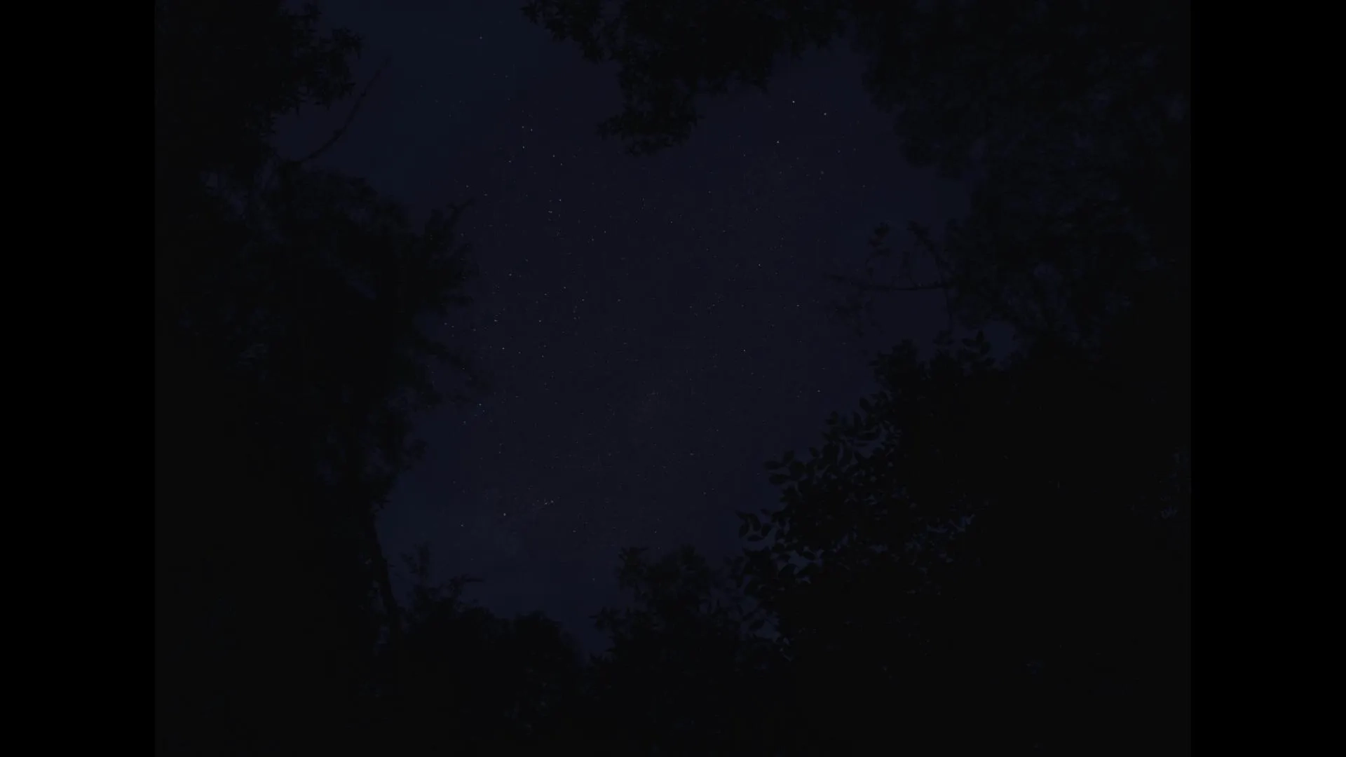 The Nightingale (2018)