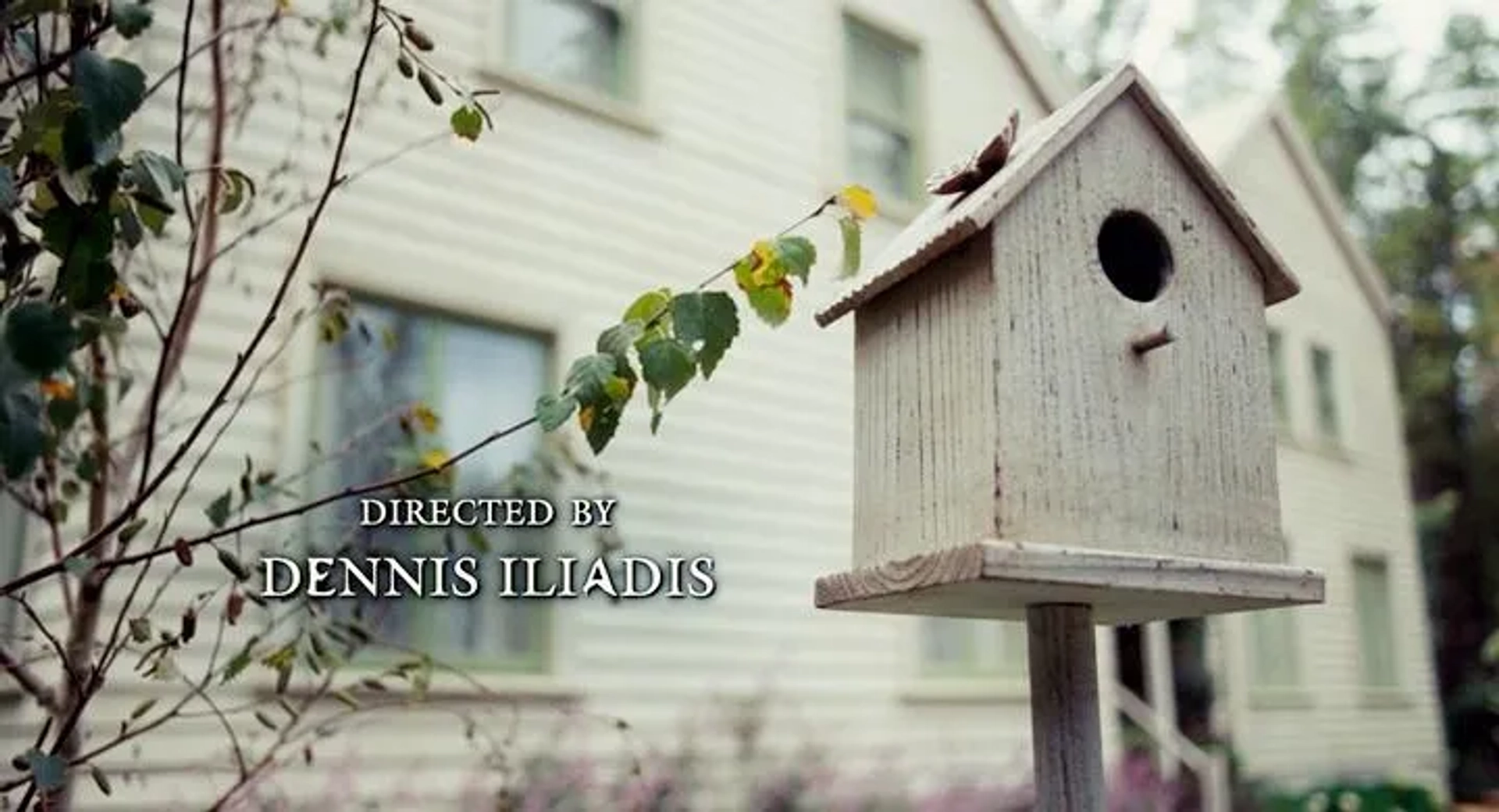 The Last House on the Left (2009)