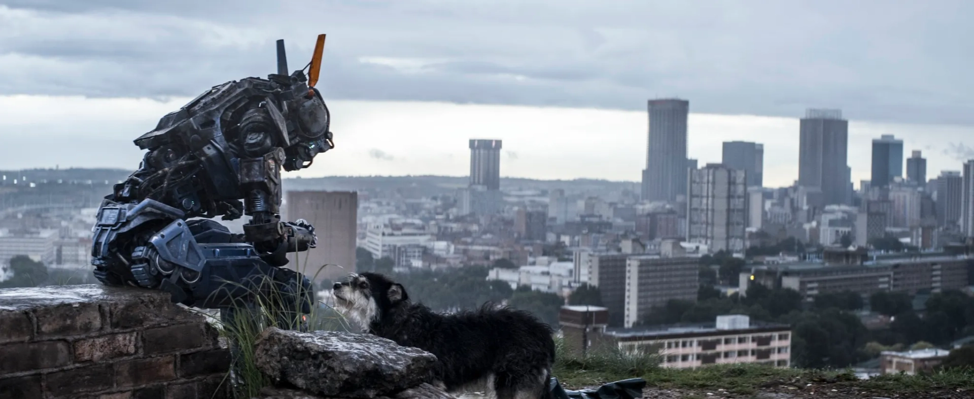 Sharlto Copley in Chappie (2015)