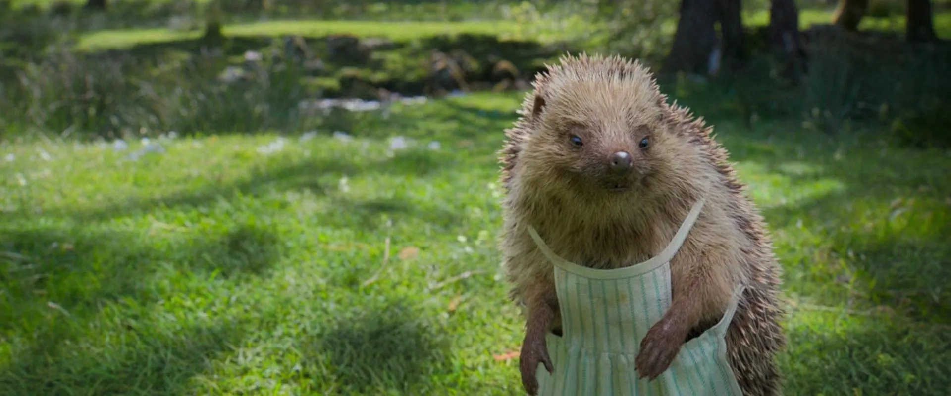 Sia in Peter Rabbit (2018)