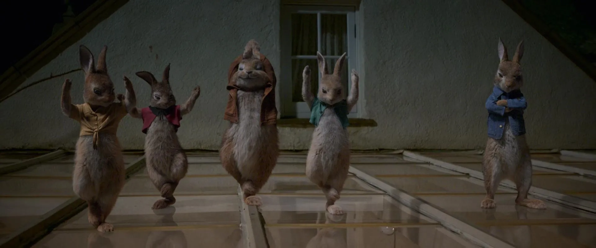 James Corden, Colin Moody, Margot Robbie, Elizabeth Debicki, and Daisy Ridley in Peter Rabbit (2018)