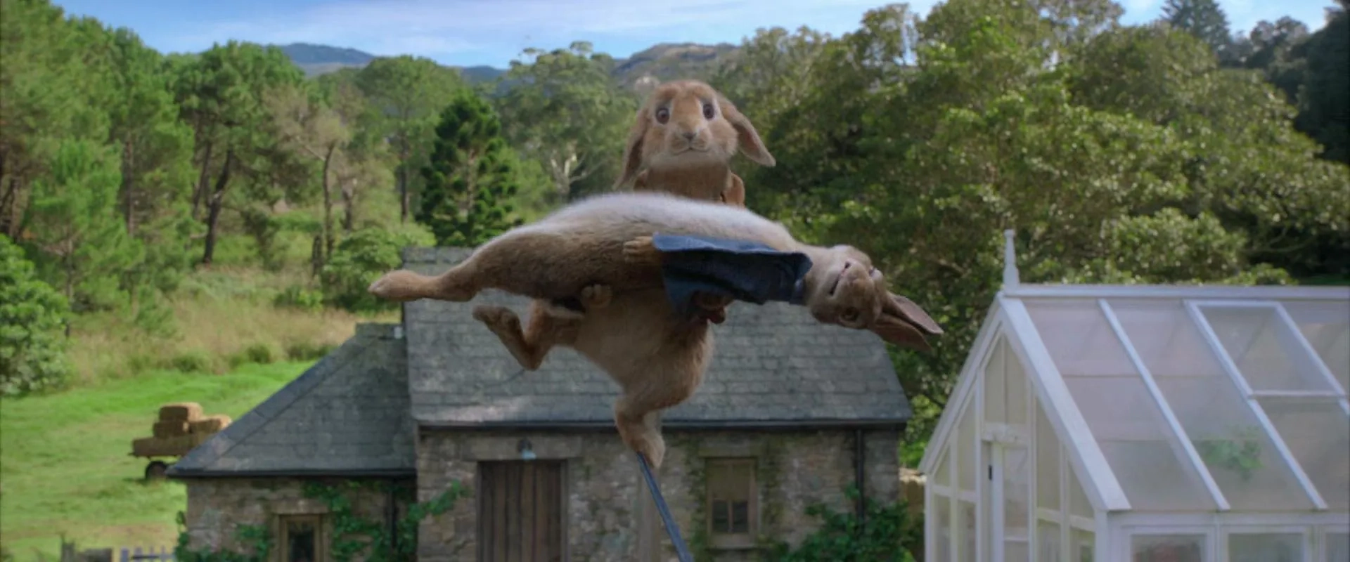 James Corden and Colin Moody in Peter Rabbit (2018)