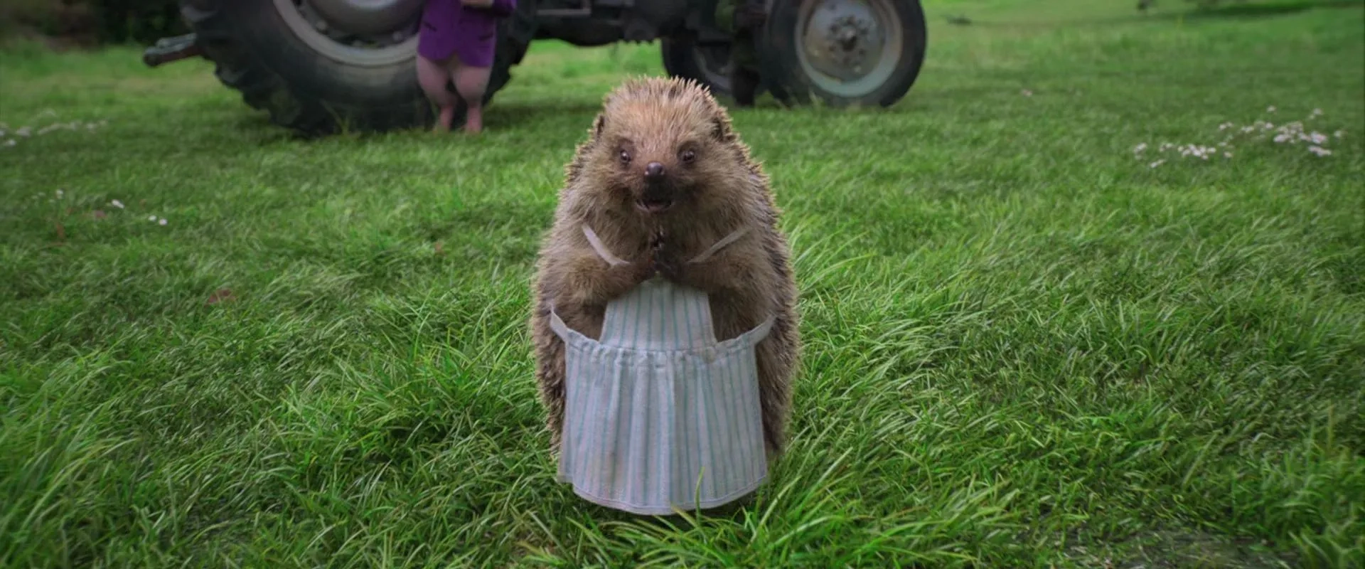 Sia in Peter Rabbit (2018)