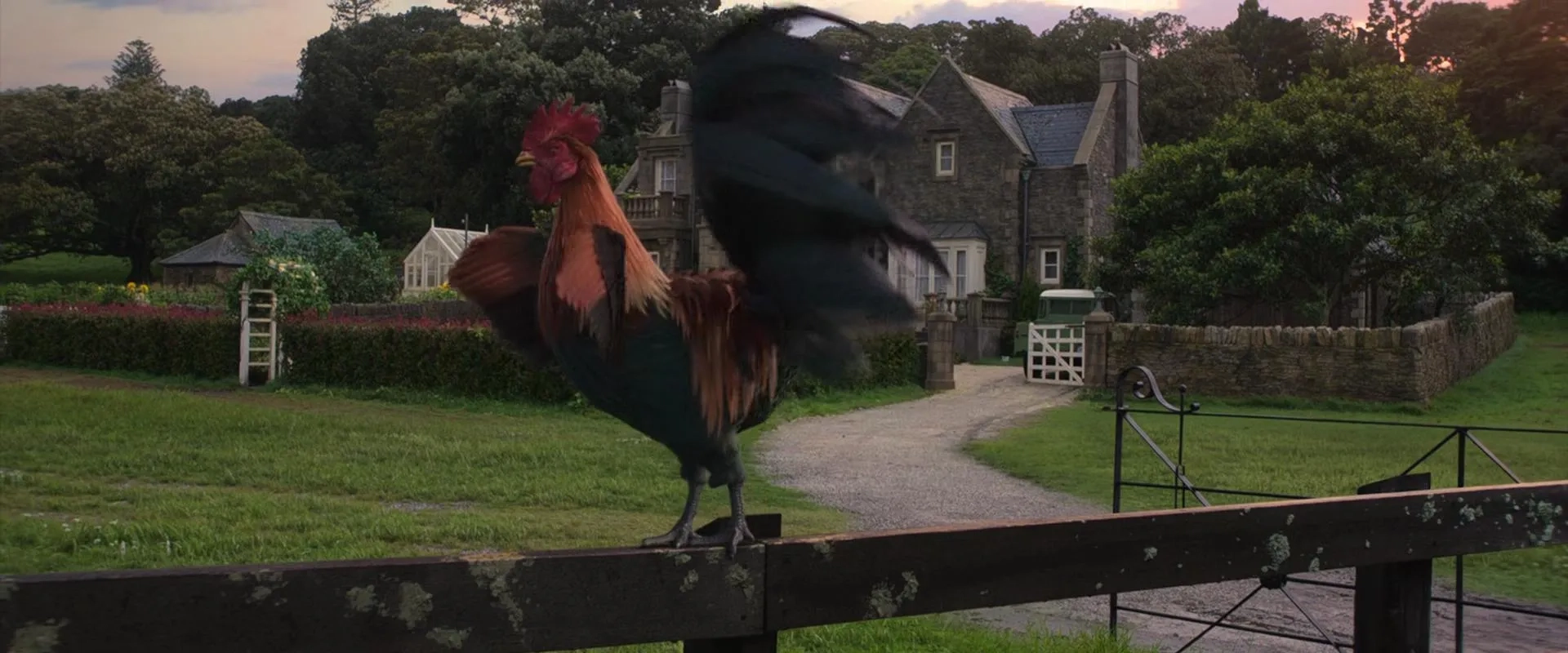 Will Reichelt in Peter Rabbit (2018)