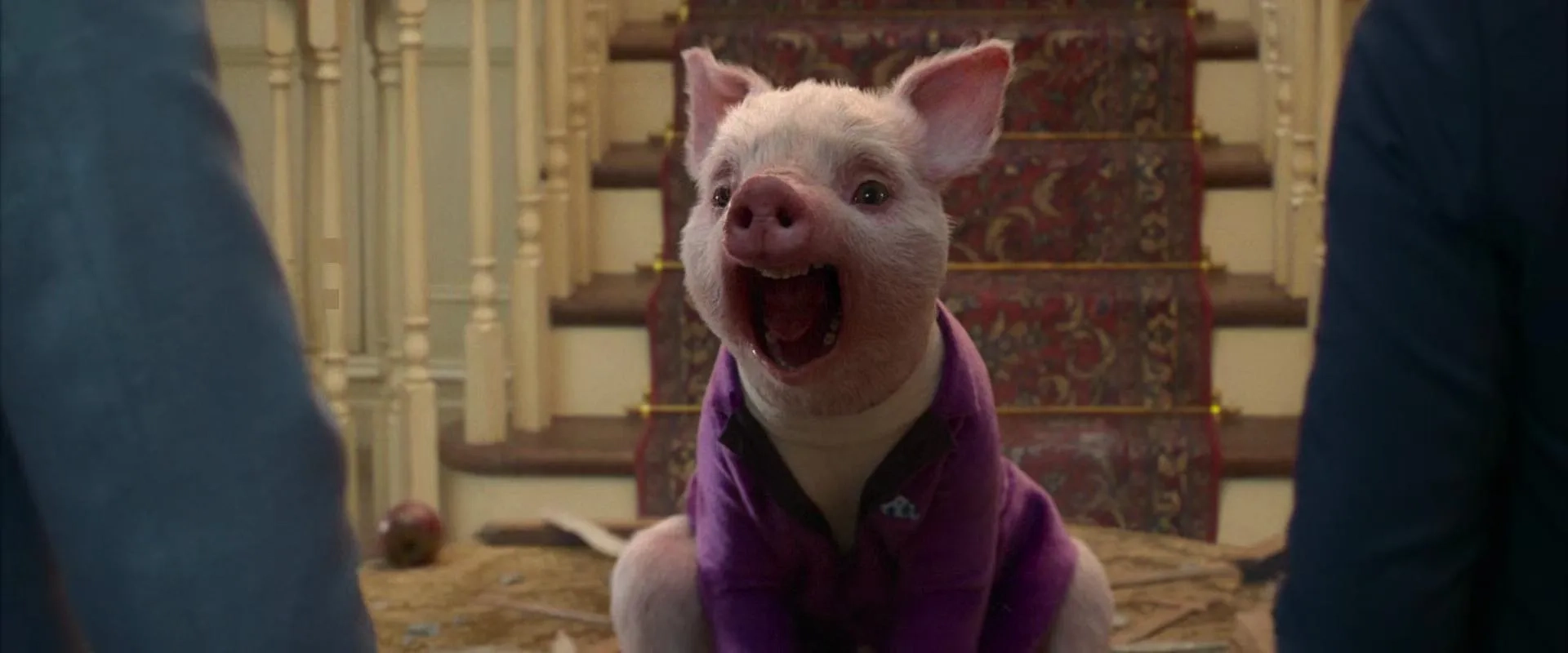 Ewen Leslie in Peter Rabbit (2018)