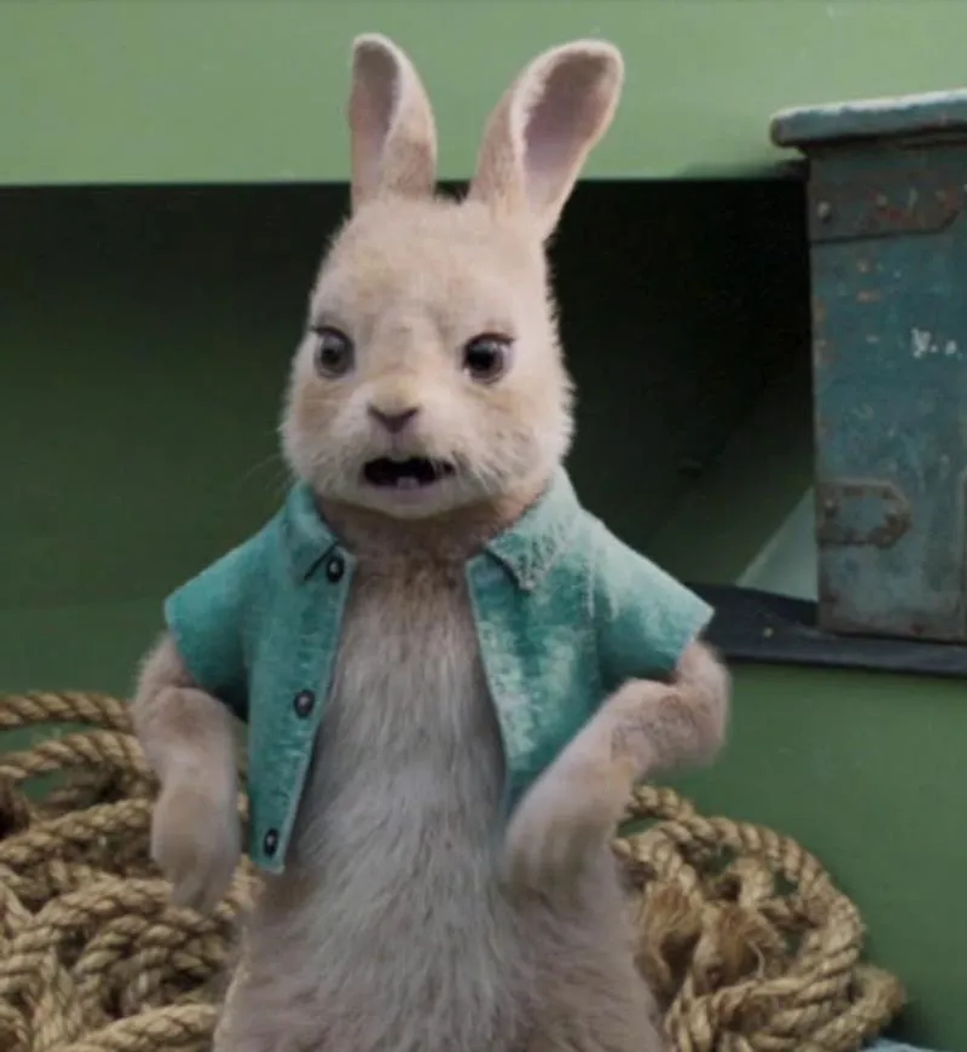 Daisy Ridley in Peter Rabbit (2018)