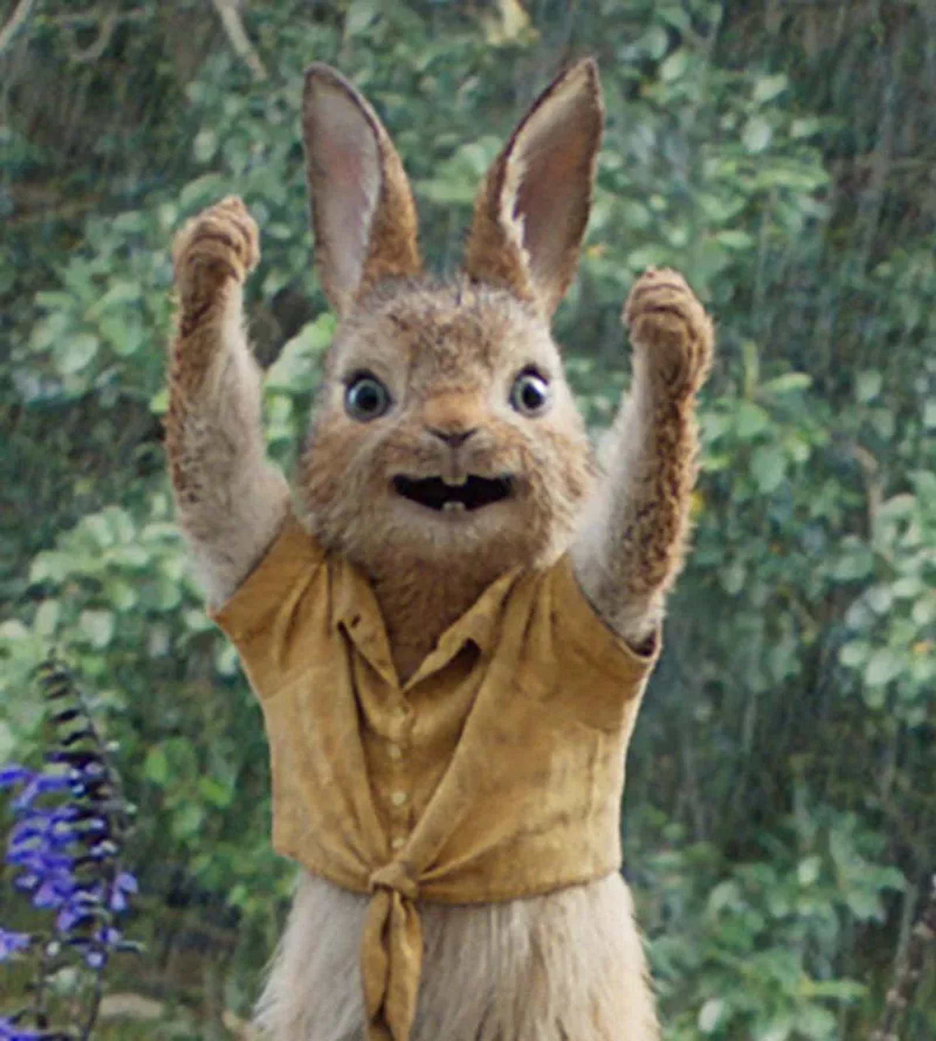 Elizabeth Debicki in Peter Rabbit (2018)