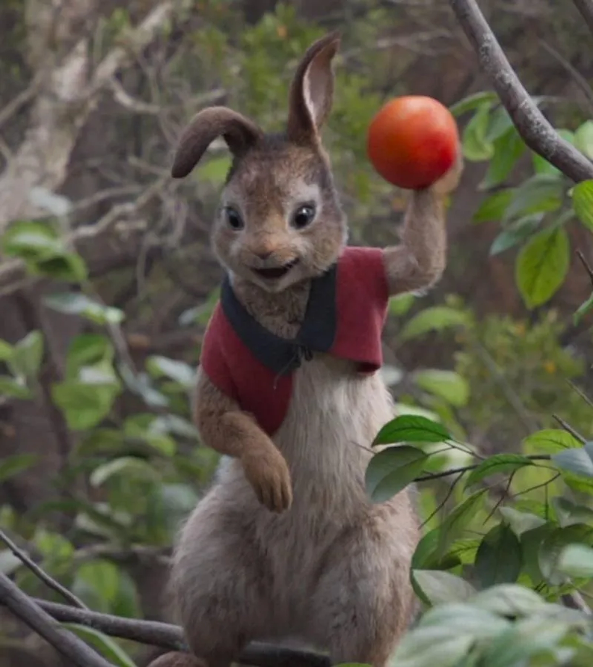 Margot Robbie in Peter Rabbit (2018)