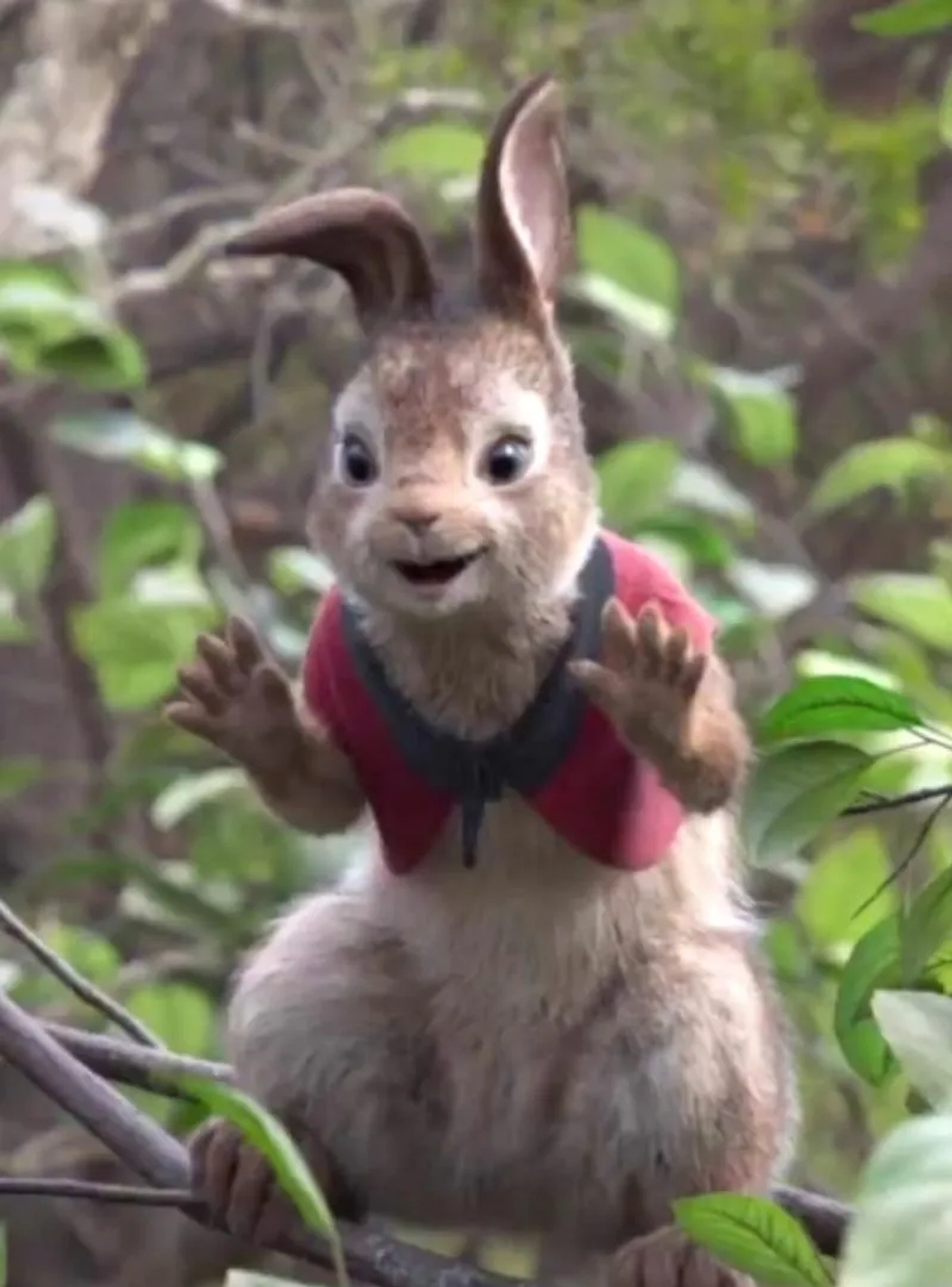 Margot Robbie in Peter Rabbit (2018)