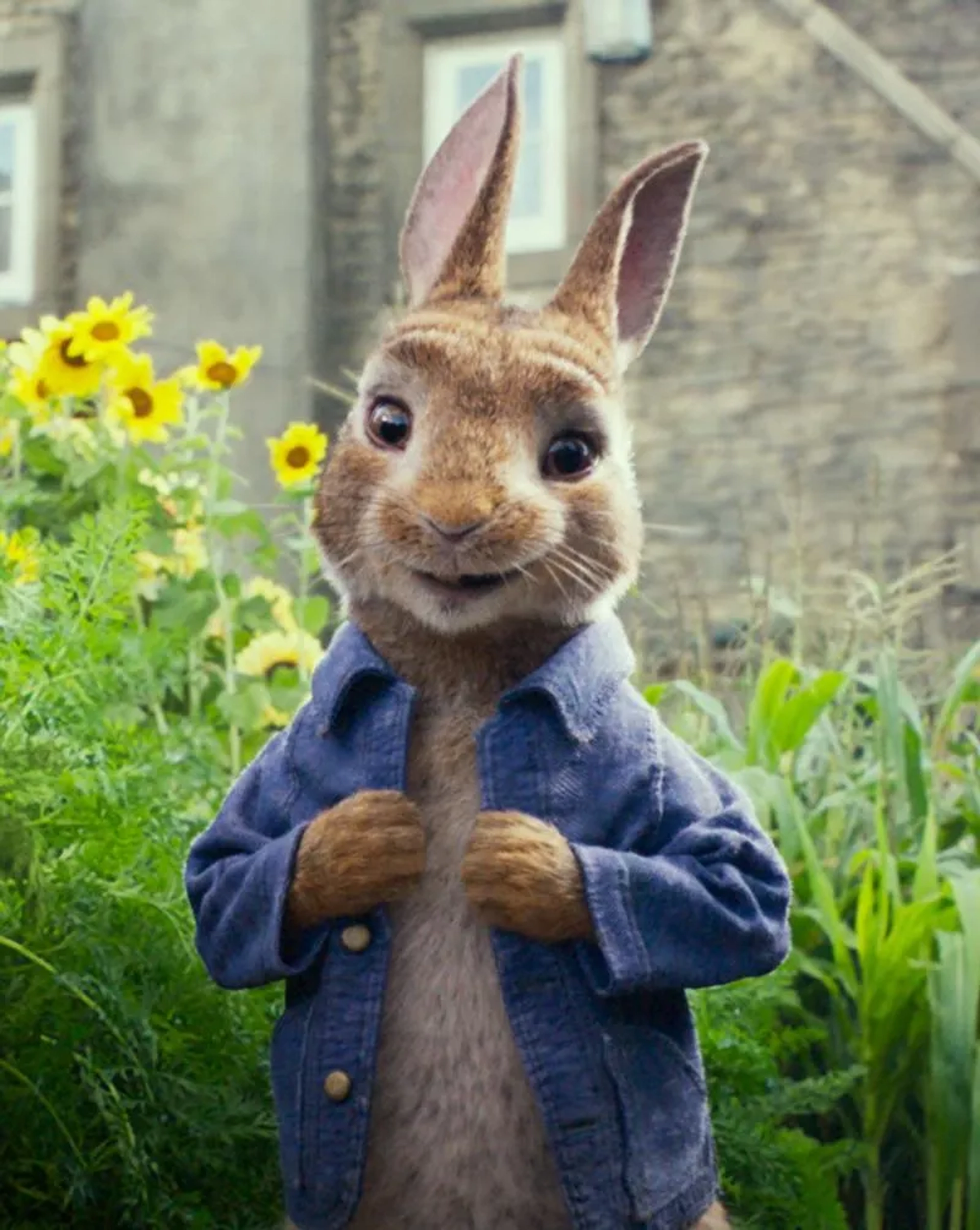 James Corden in Peter Rabbit (2018)