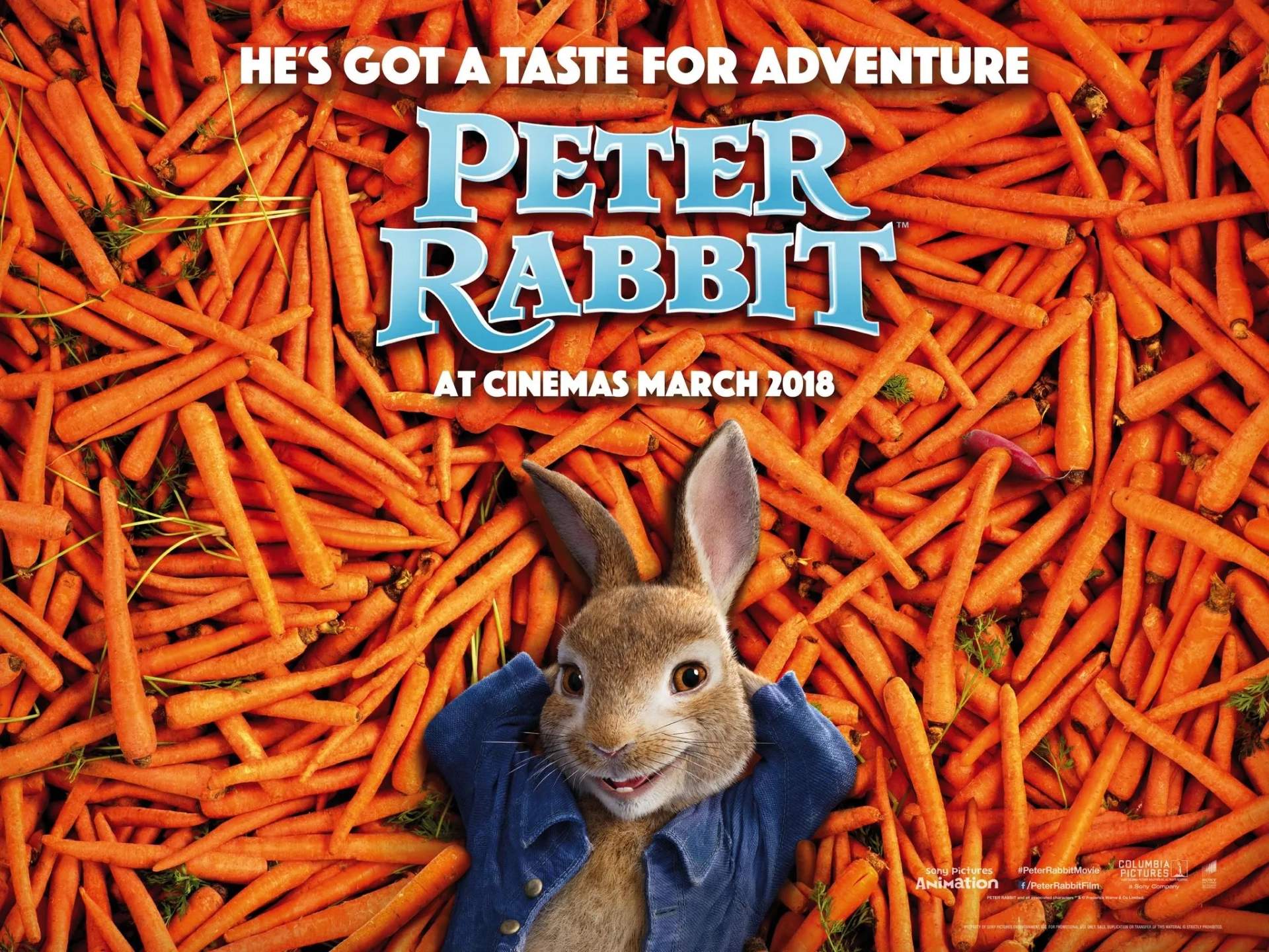 James Corden in Peter Rabbit (2018)